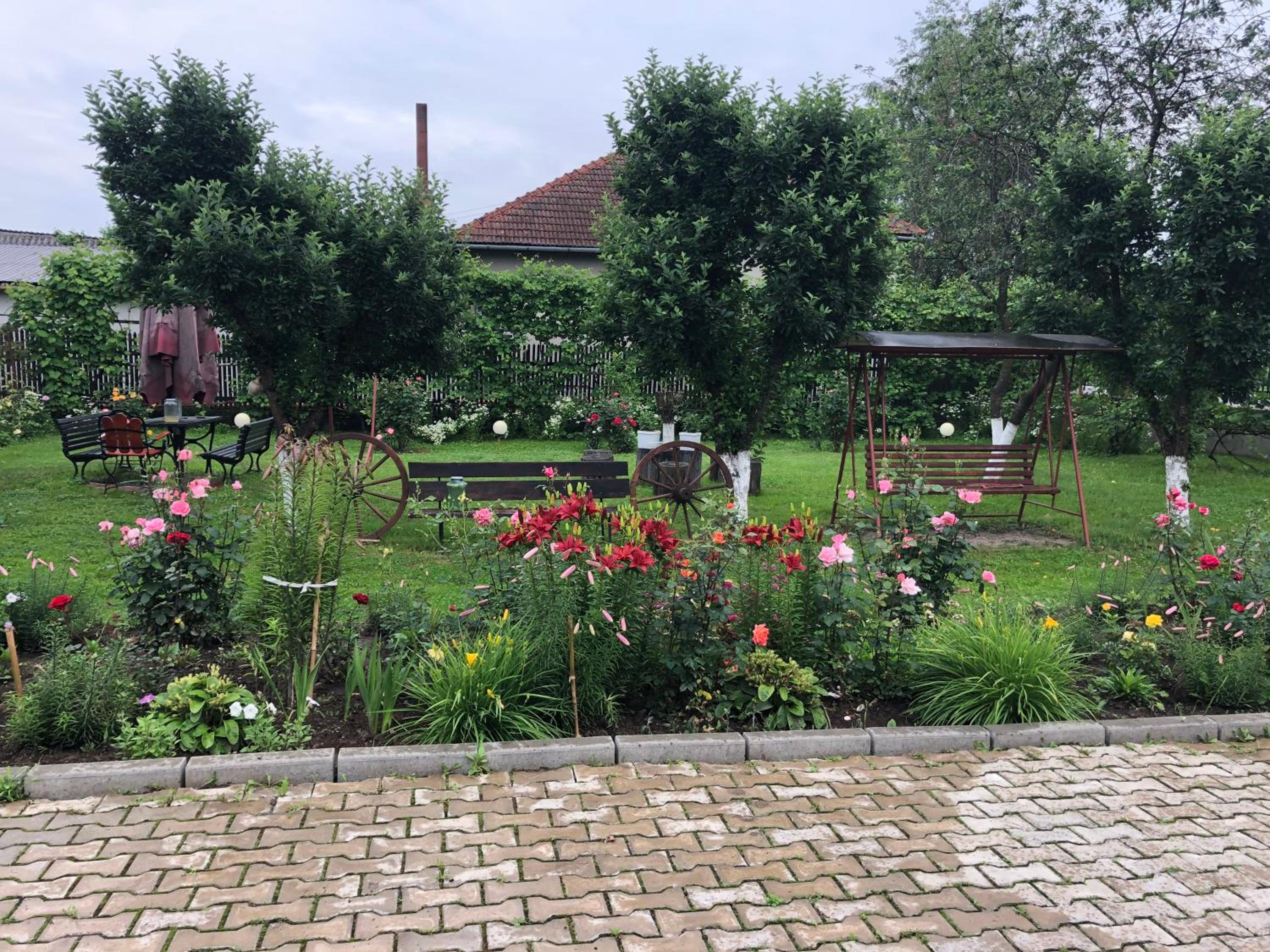 Photo 8