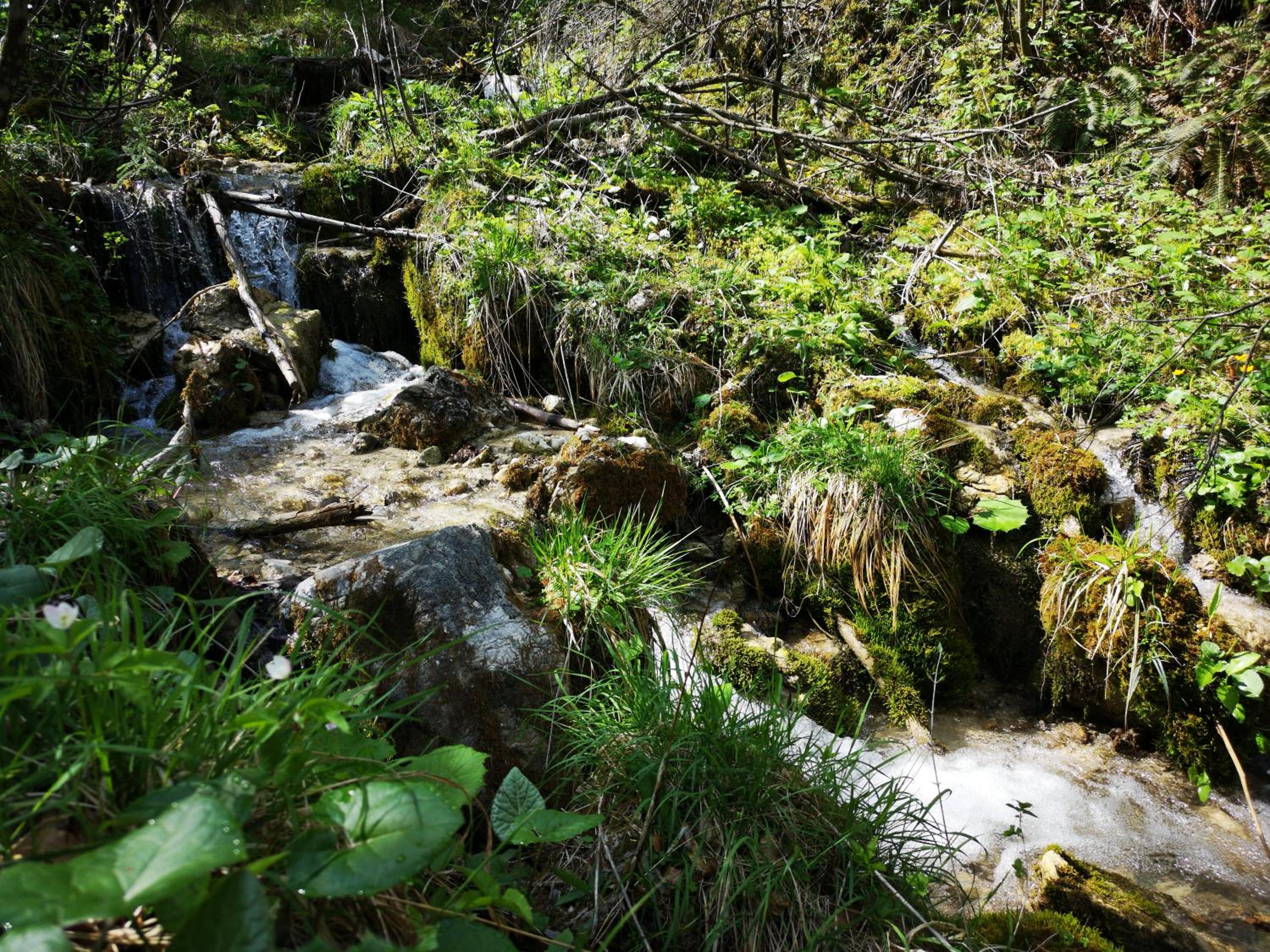 Photo 25