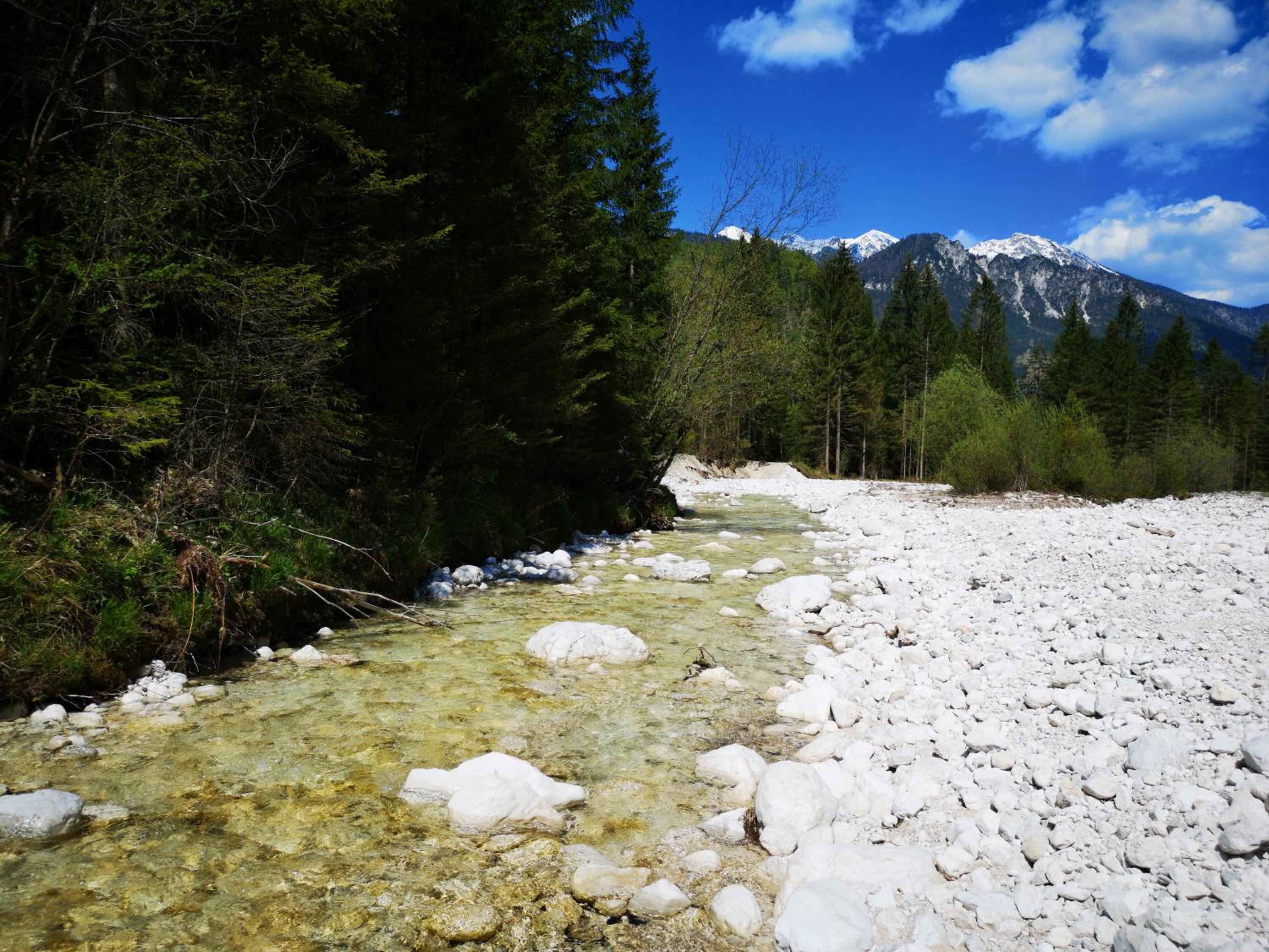 Photo 28