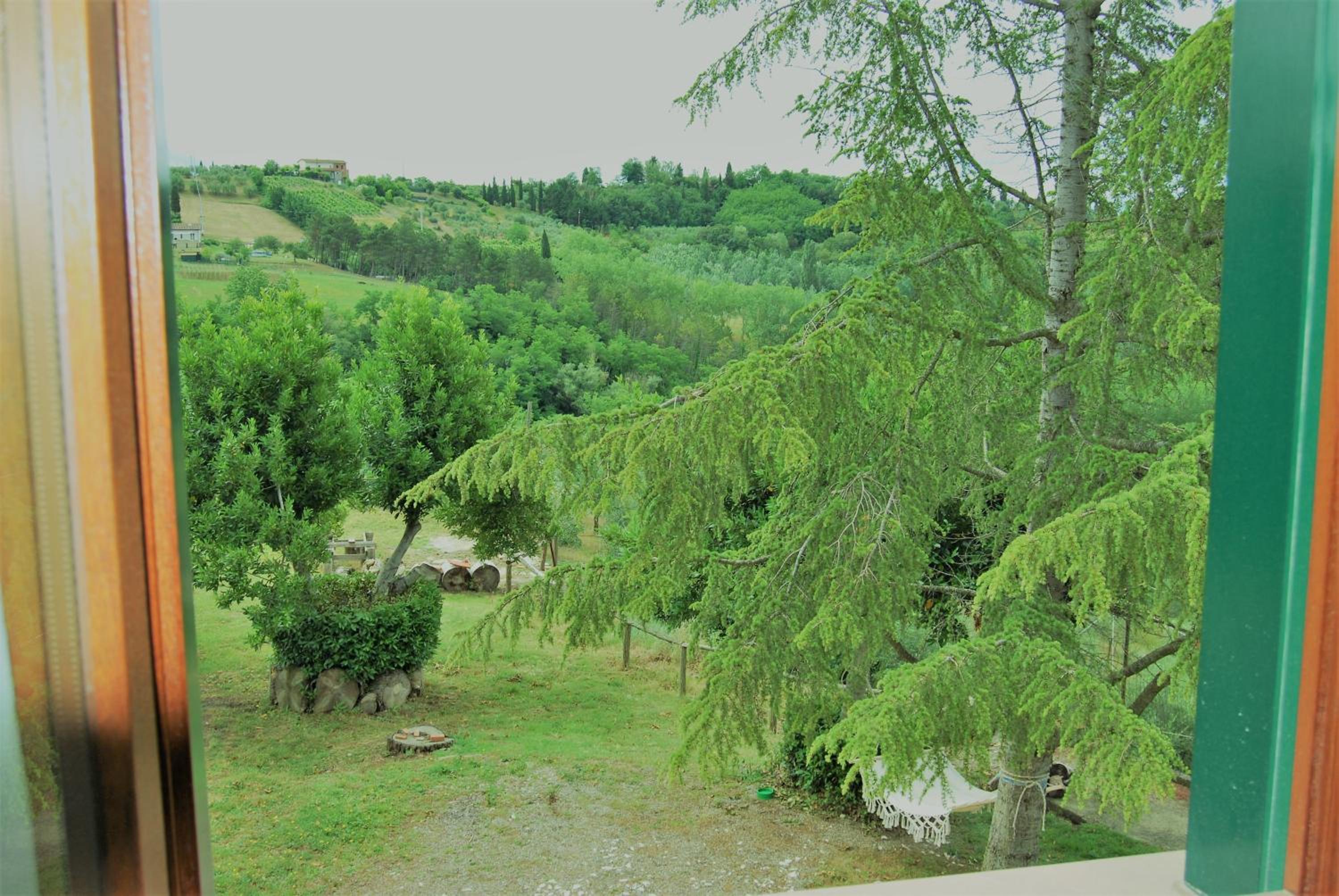 Photo 31