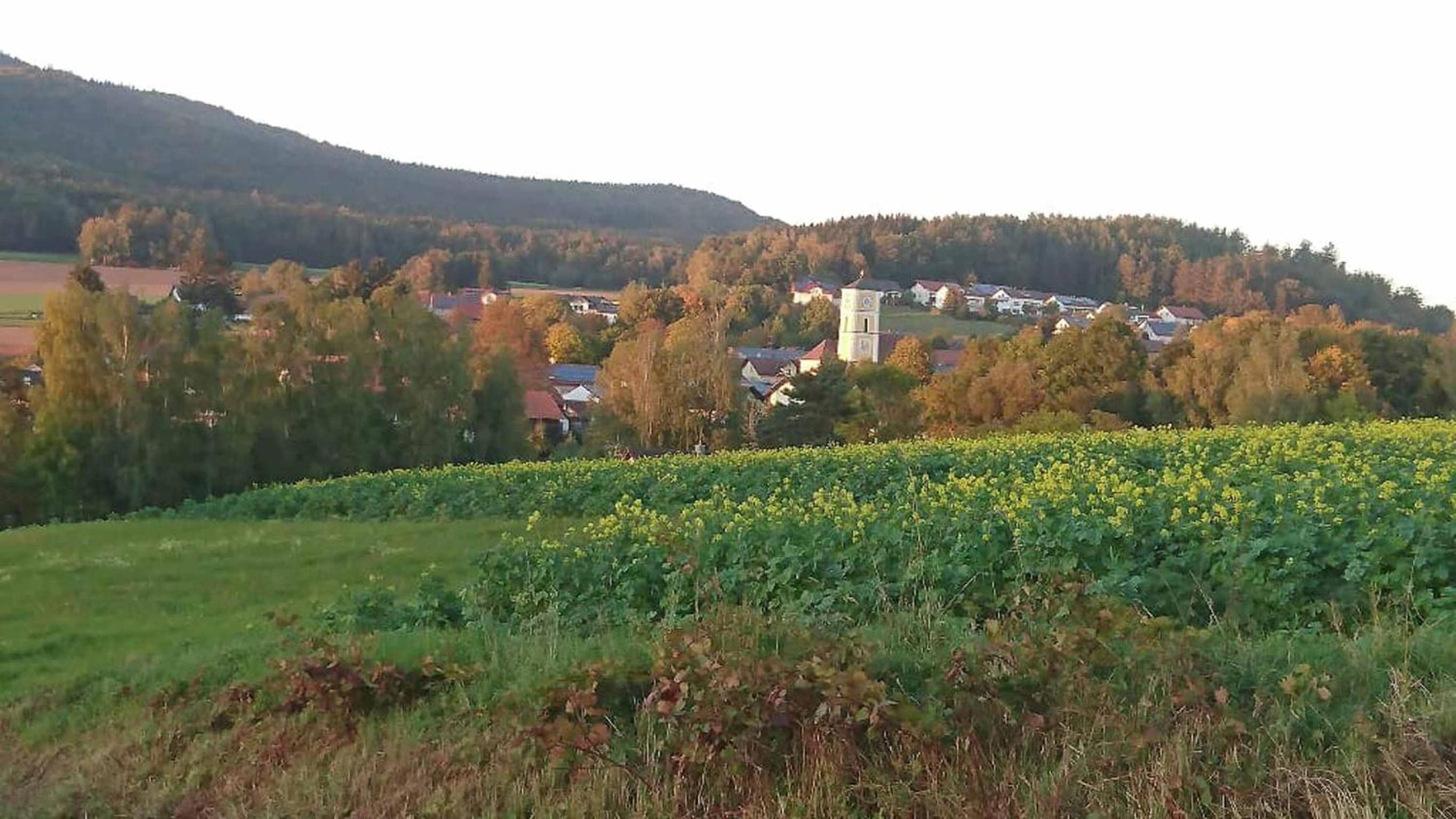 Photo 19