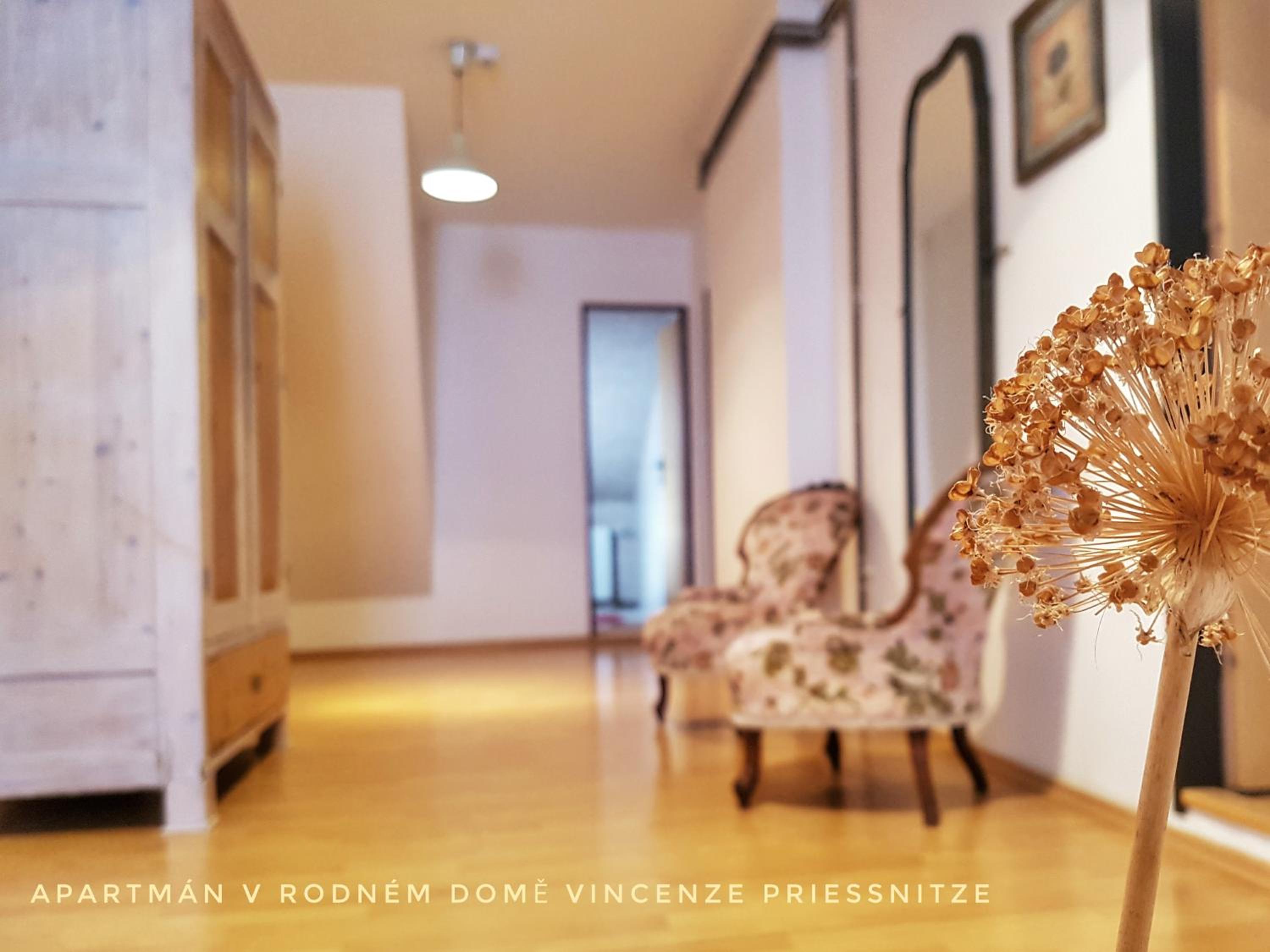 Apartmá v Rodném domě Vincenze Priessnitze v centru lázní view 5