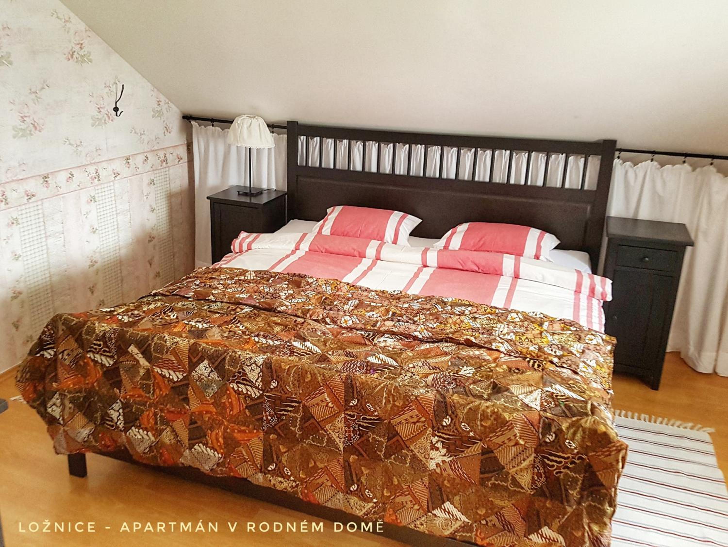 Apartmá v Rodném domě Vincenze Priessnitze v centru lázní view 4