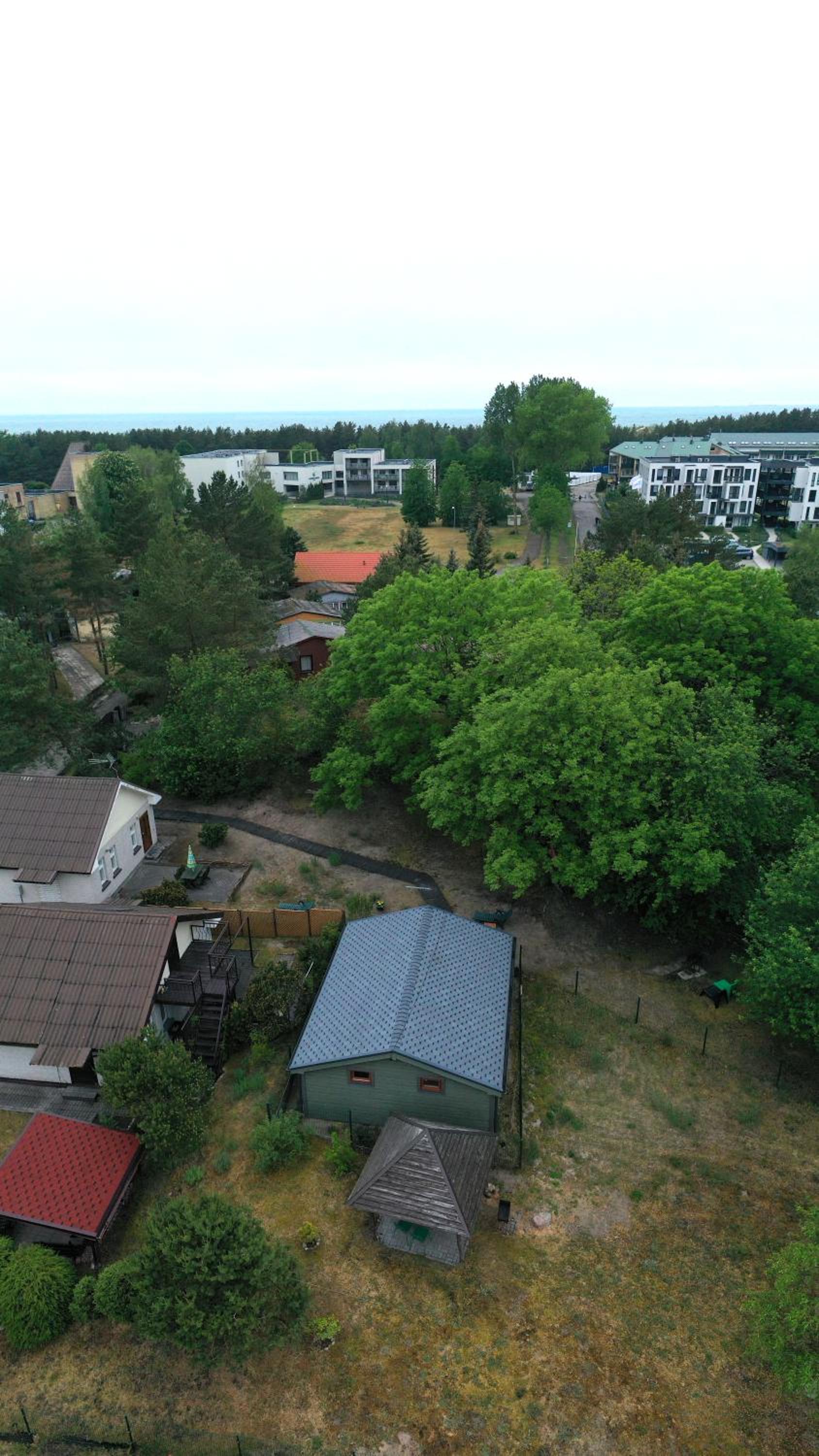 Photo 51