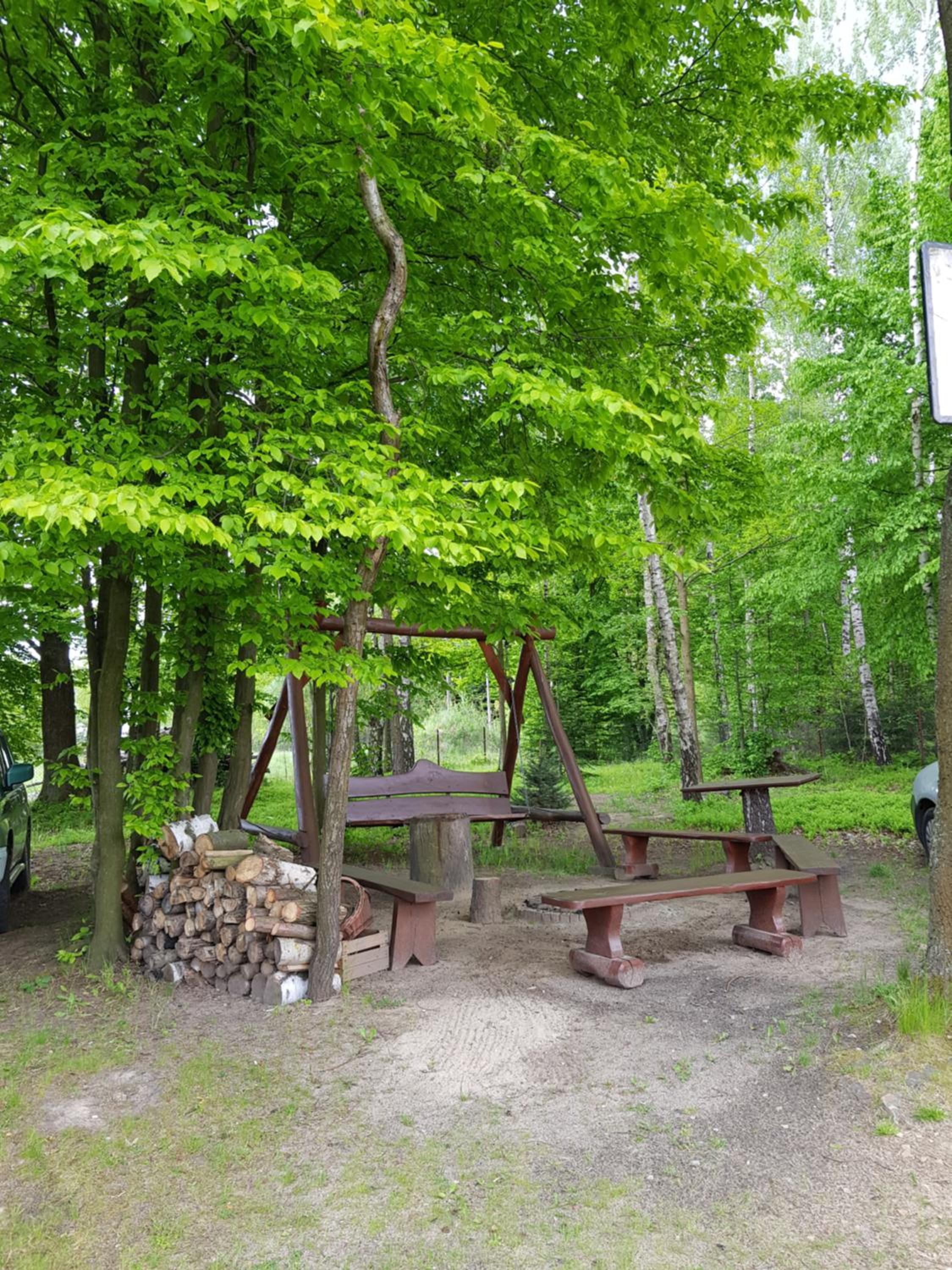 Photo 46