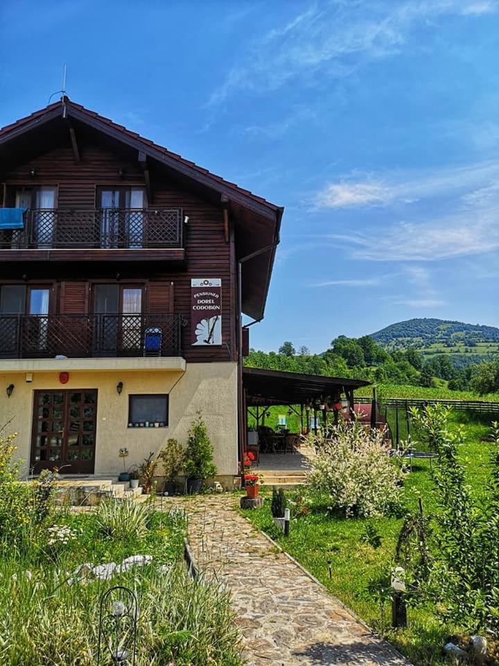Hotel Pensiunea Dorel Codoban