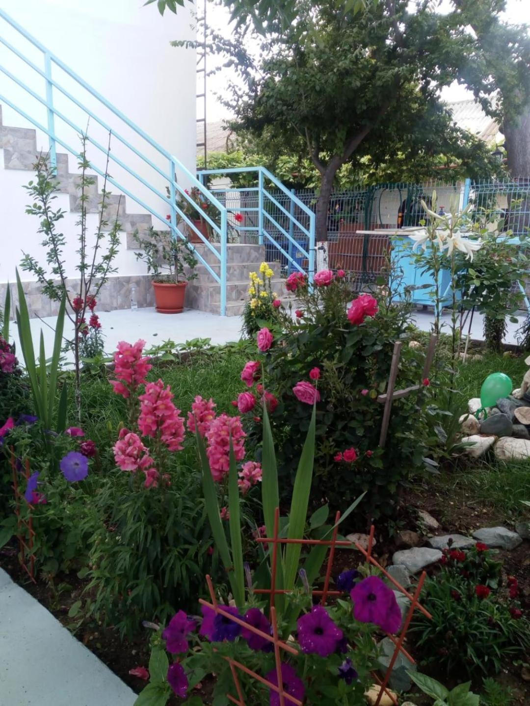 Photo 25