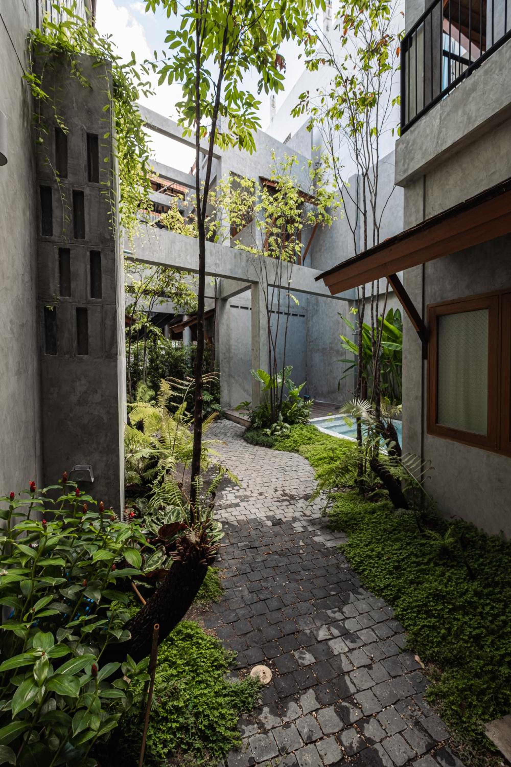 Hidden Garden Hostel view 5