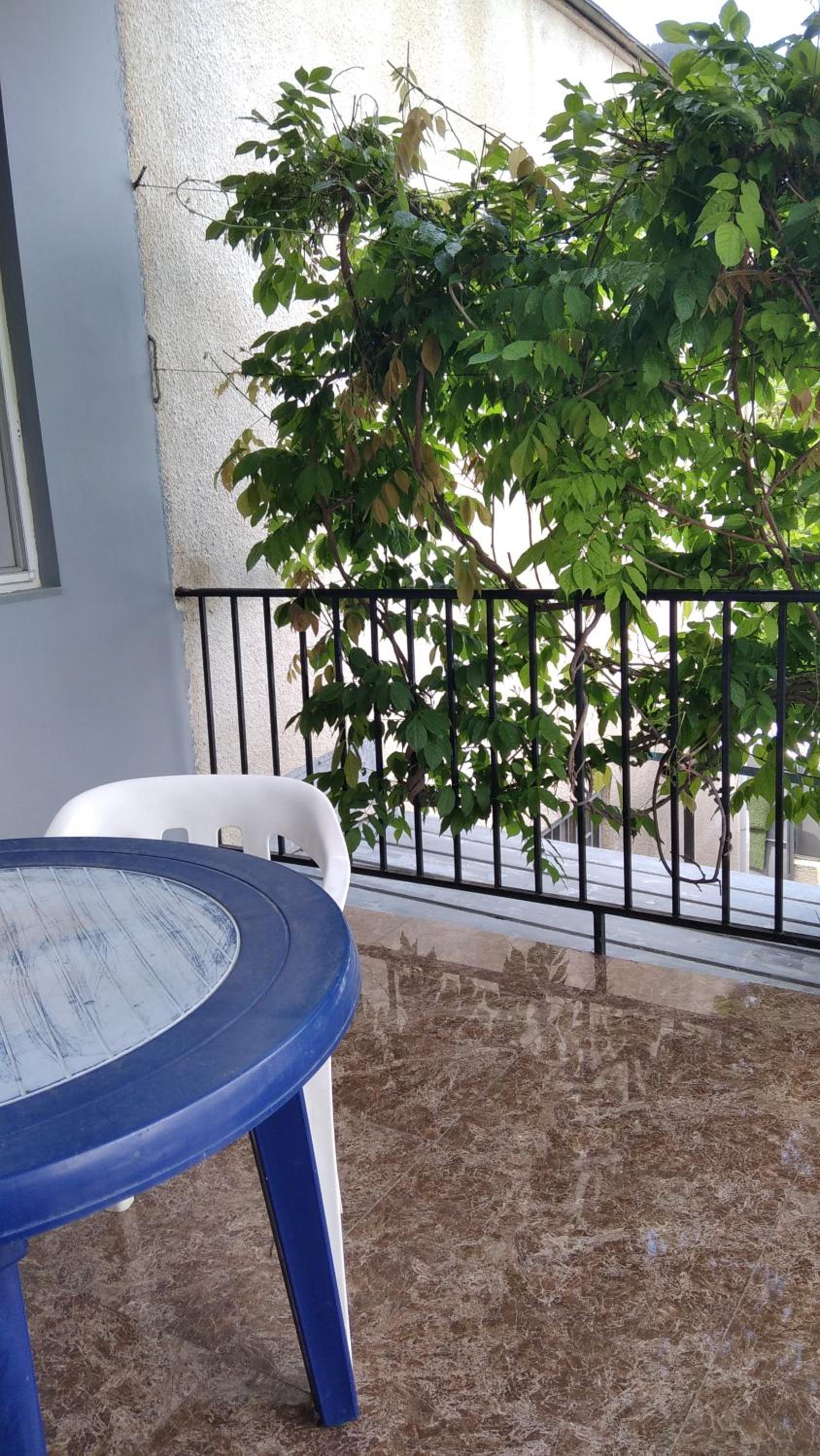 Guest House Rusudan