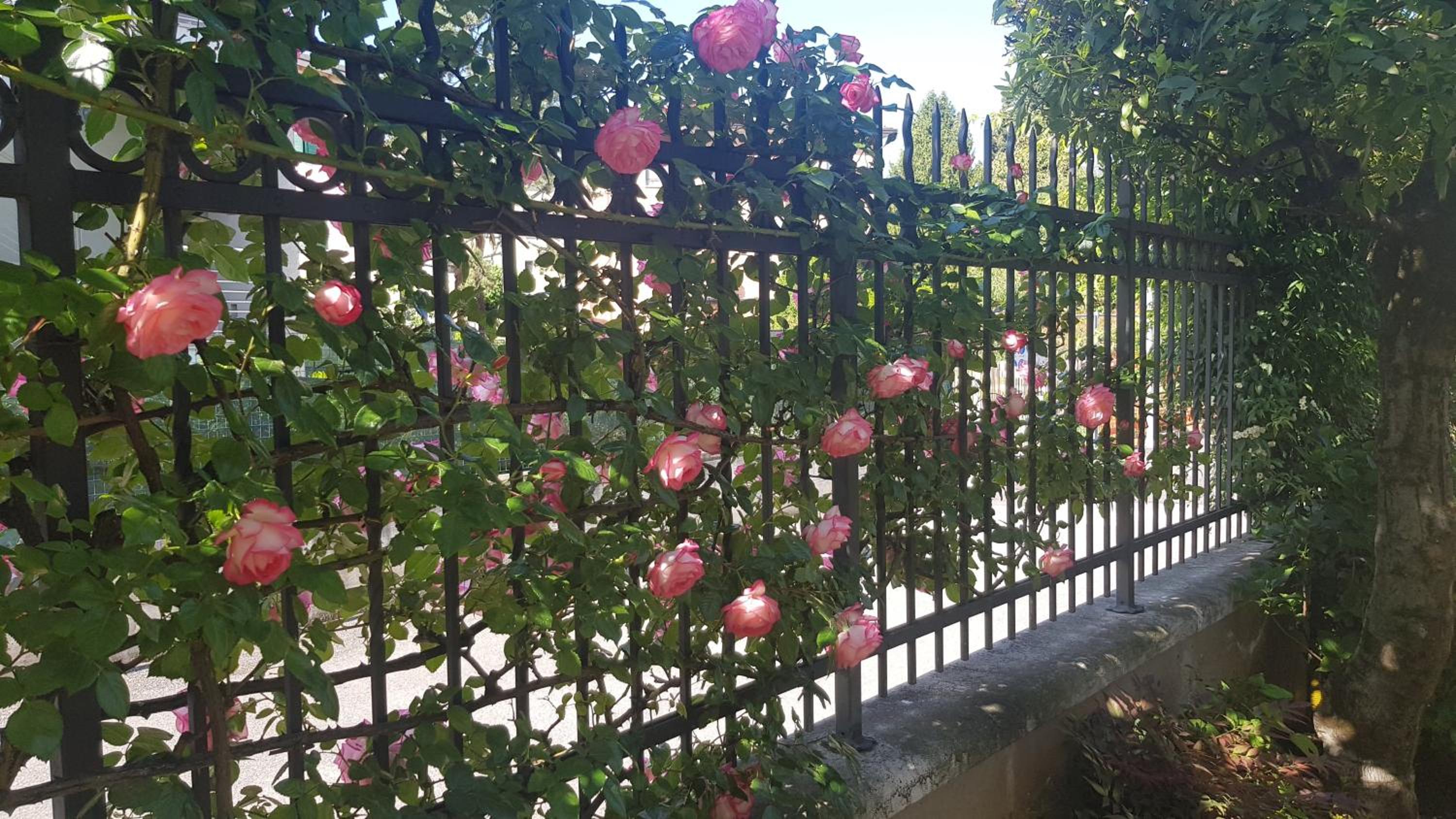Appartamento Modenese 8 view 3