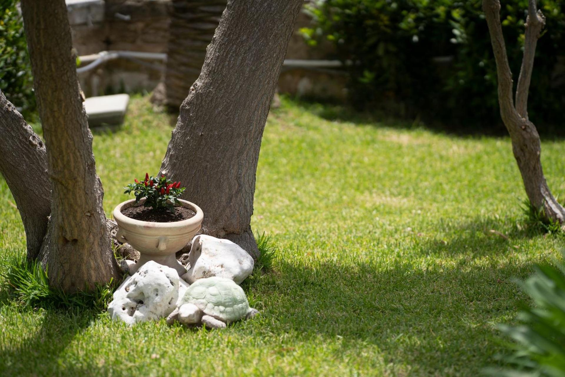 Poesia del Mare B&B photo 3