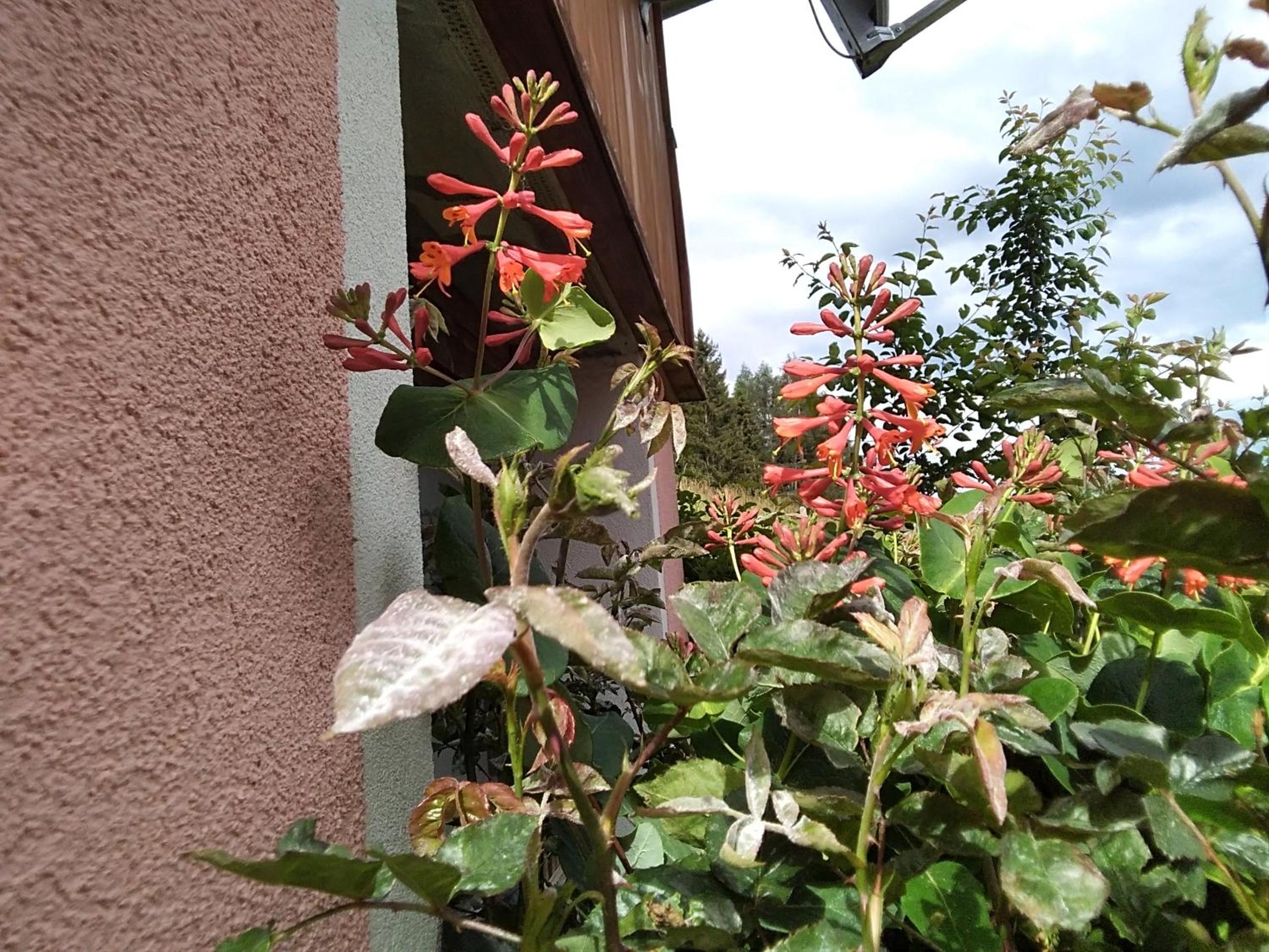 Photo 34