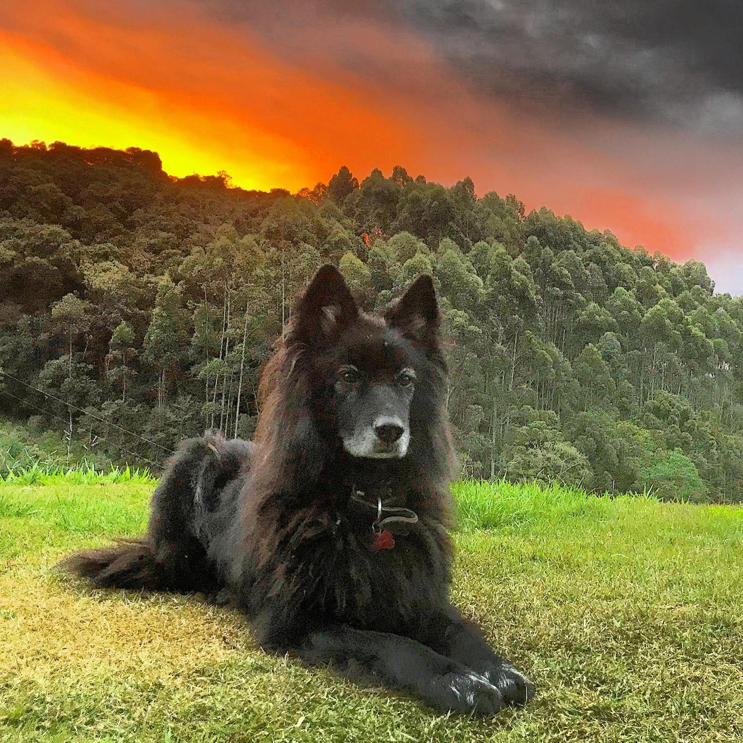 Photo 46