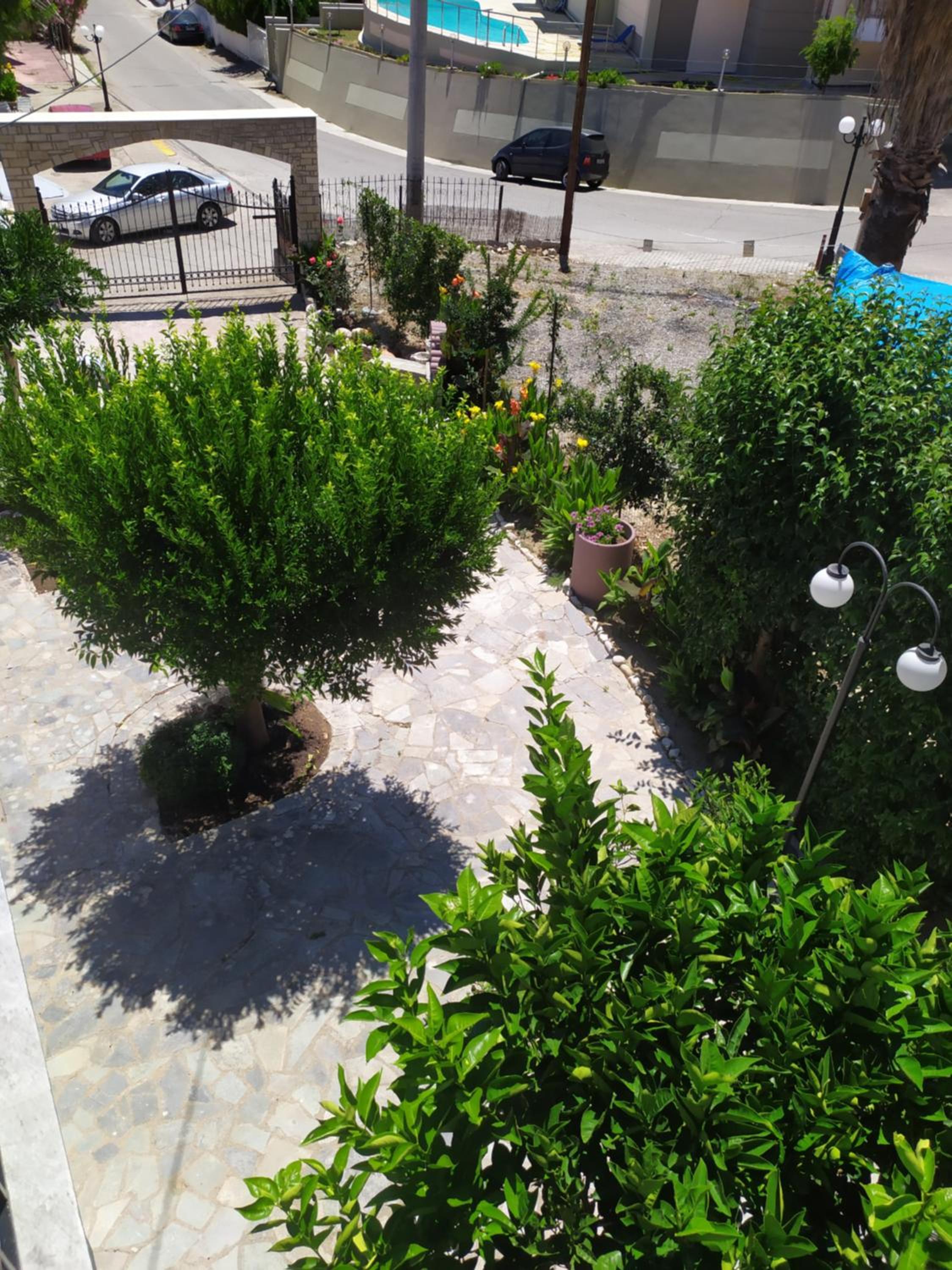 Photo 6