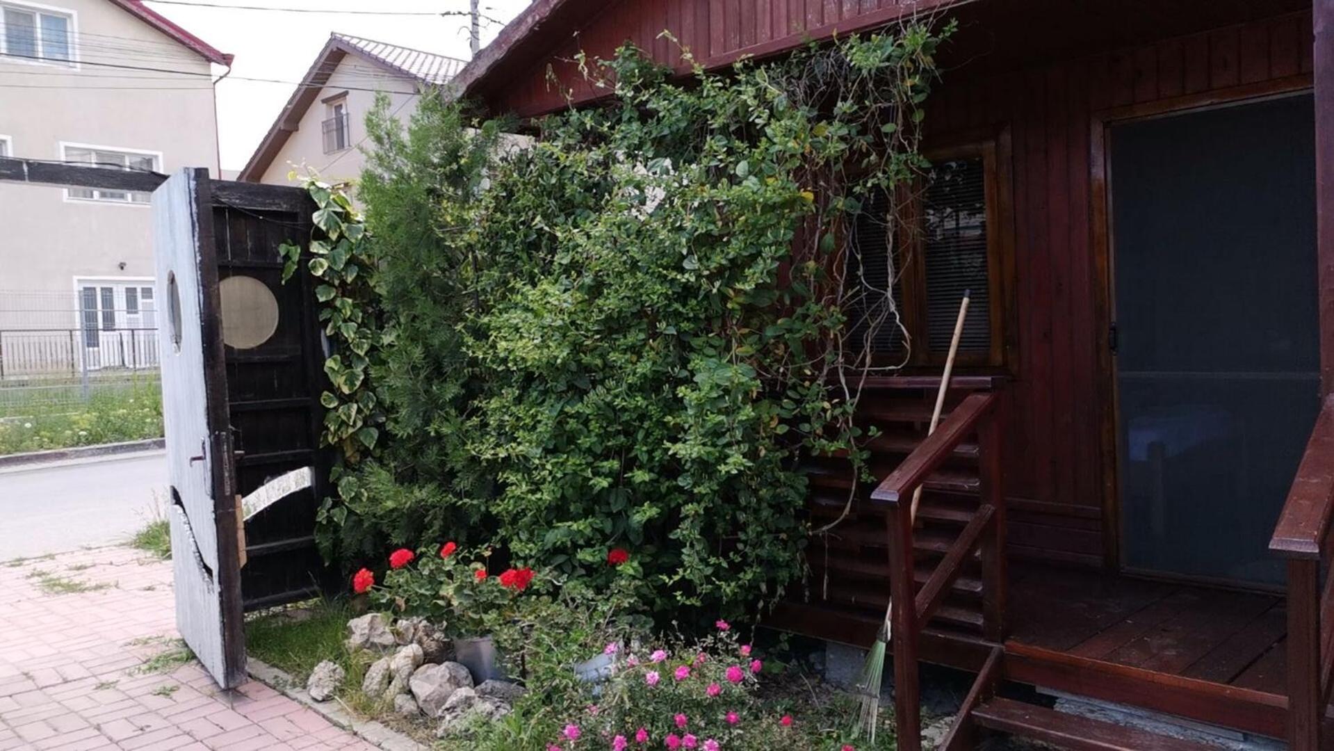 Photo 24