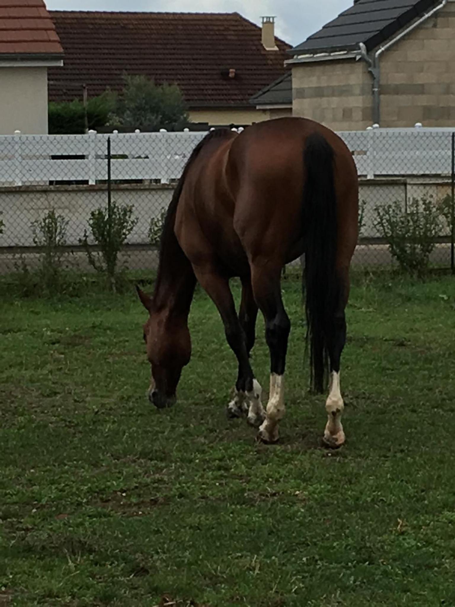 Photo 19