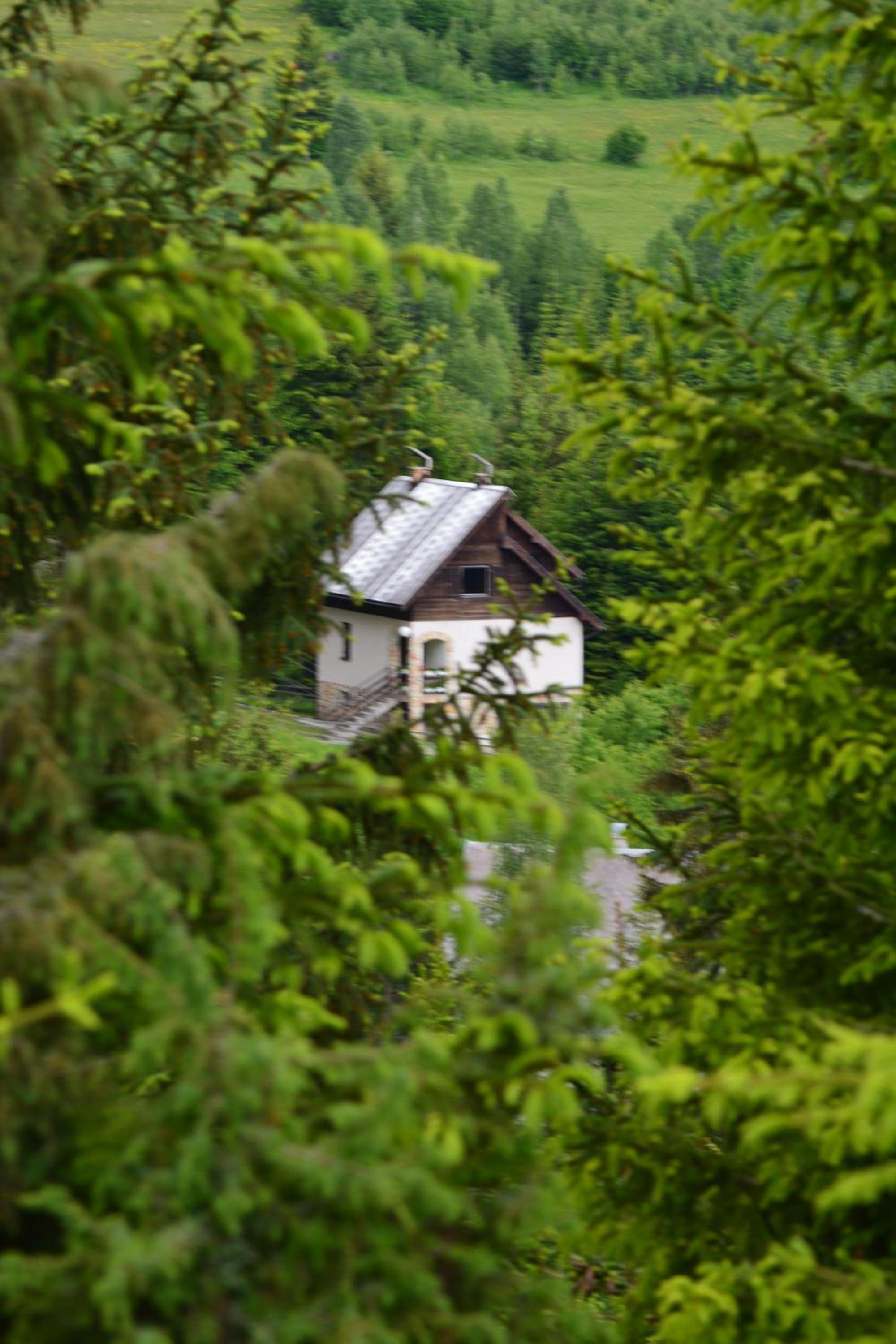 Photo 46