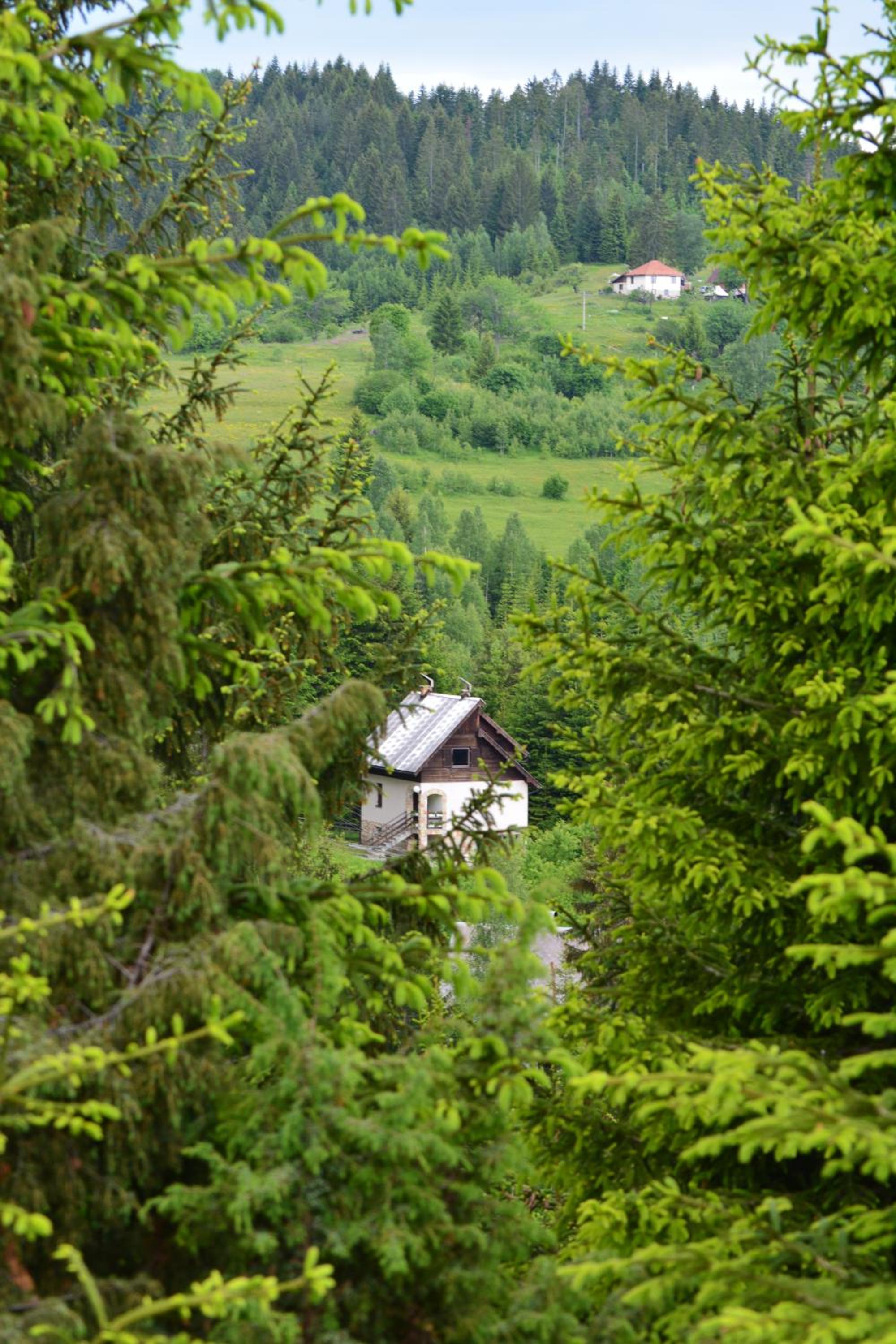 Photo 44
