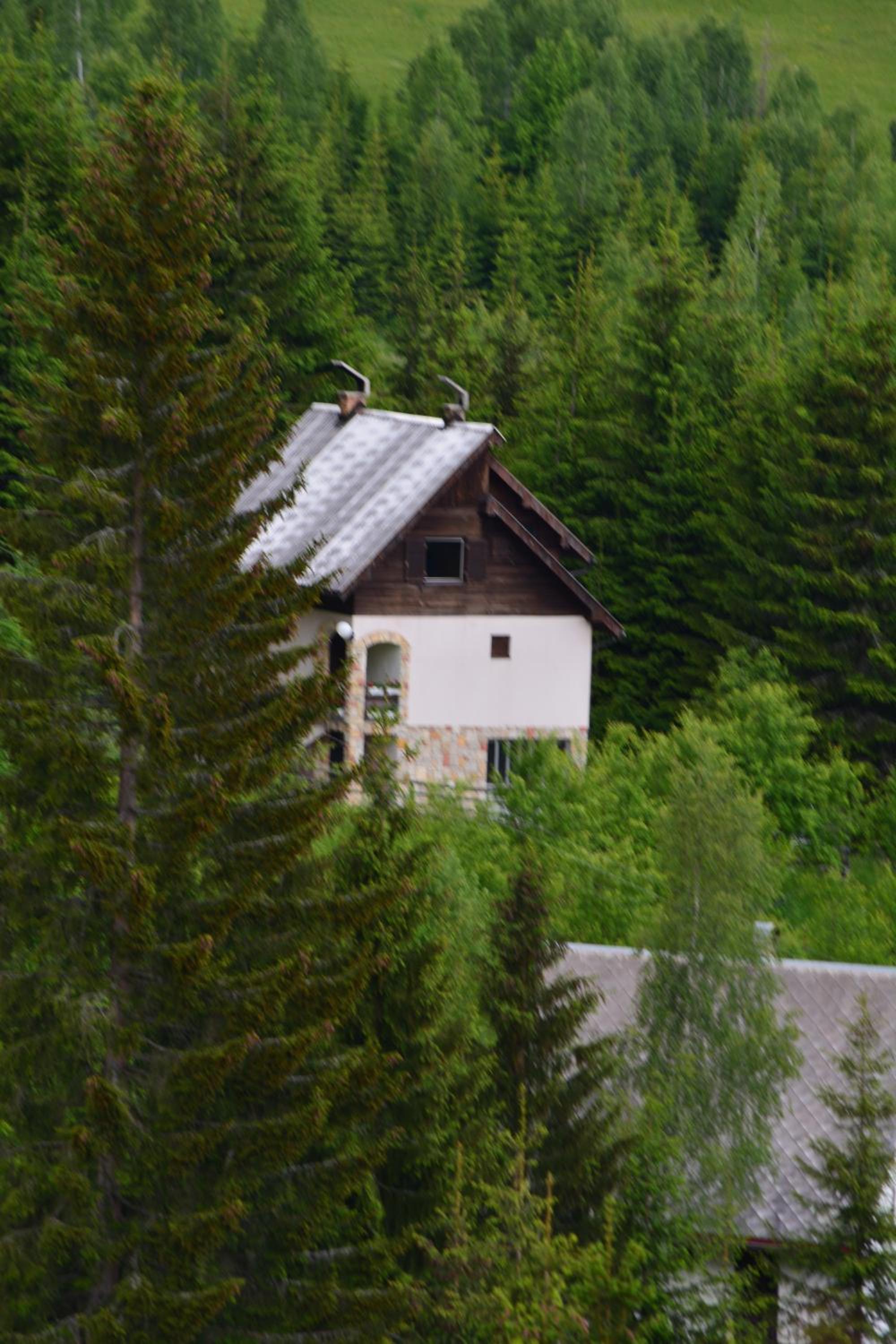 Photo 42