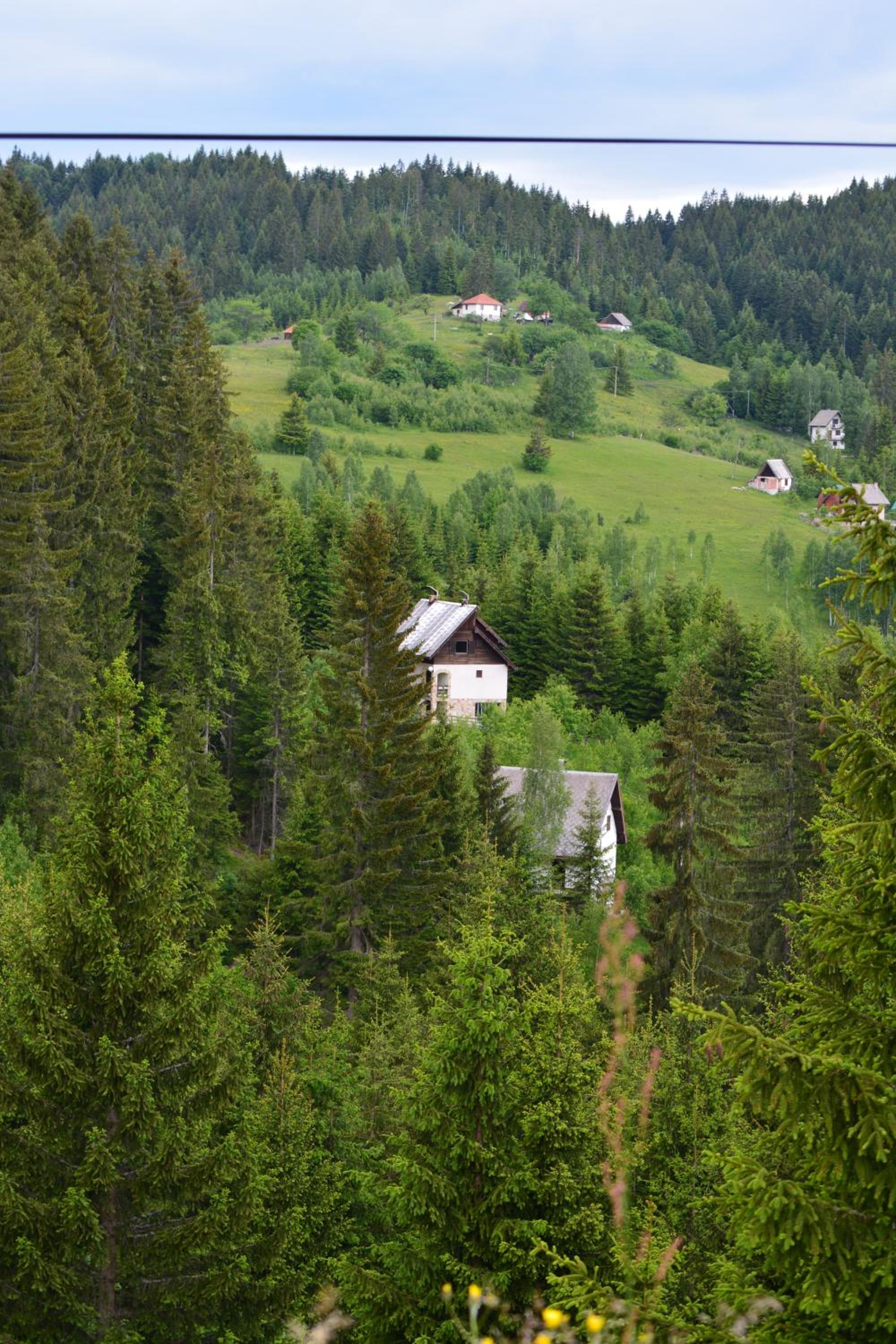 Photo 41