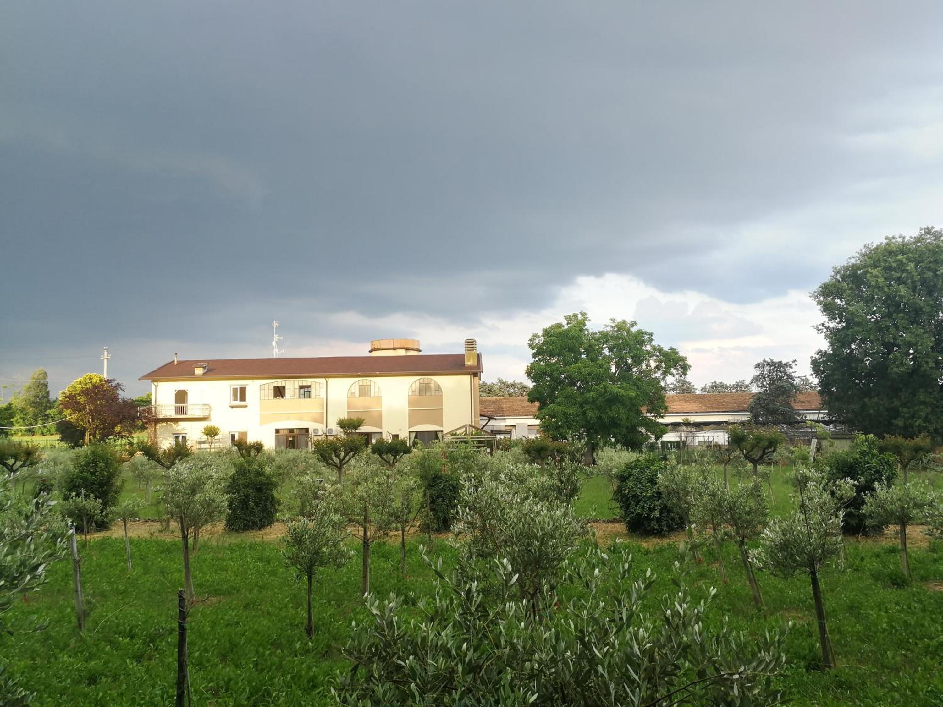 Photo 40