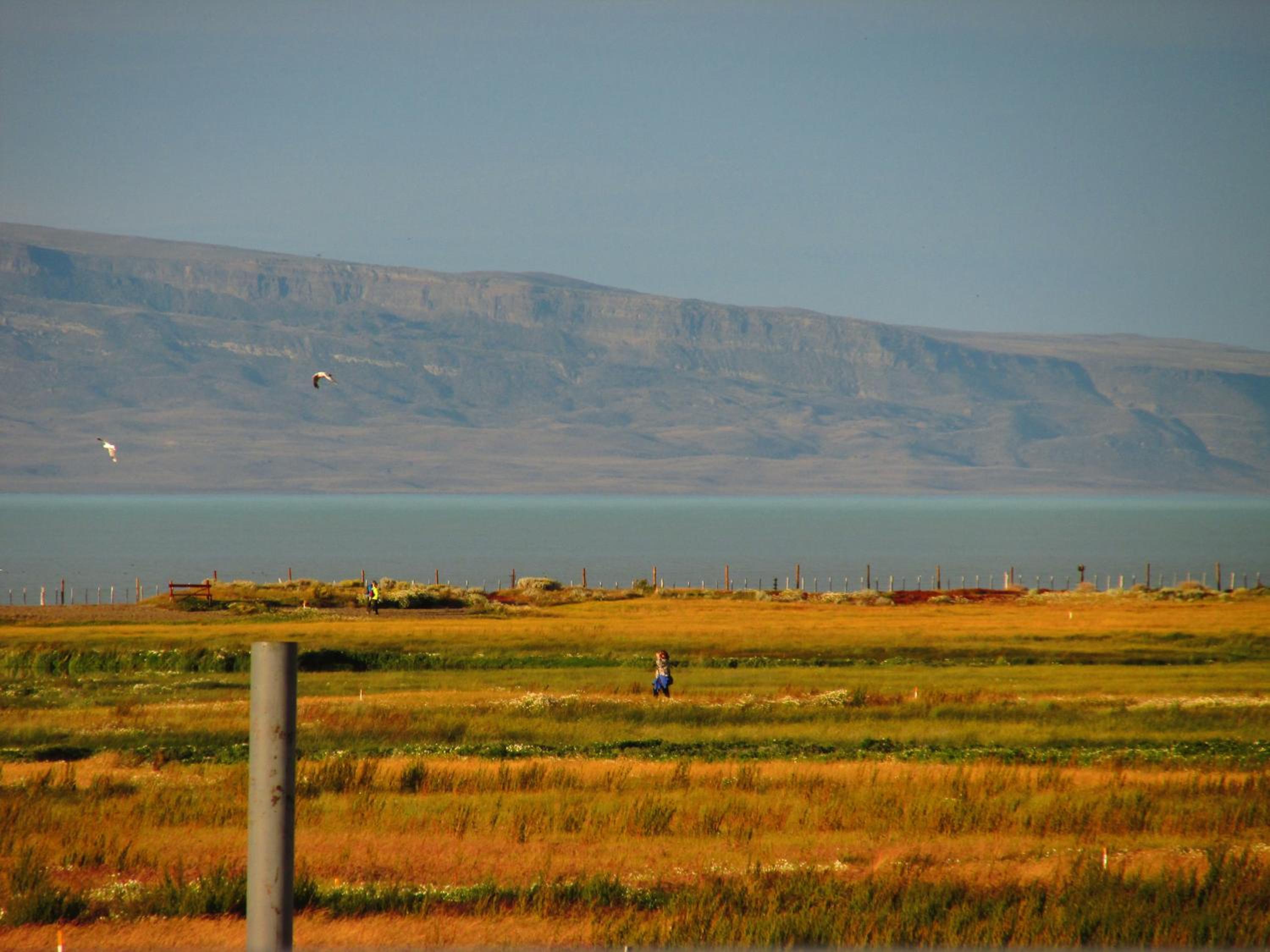 Hostel Aves del Lago