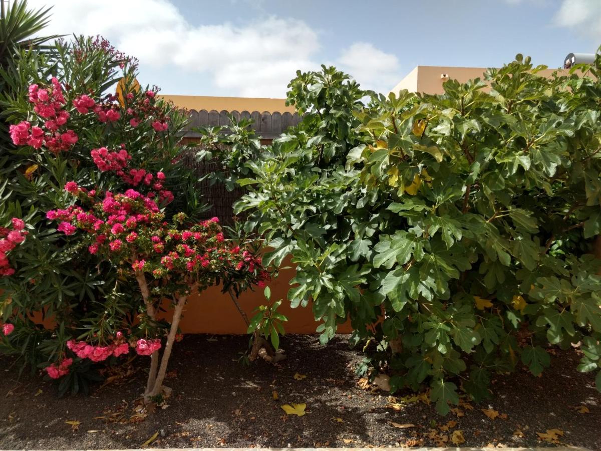 La Casita photo 4