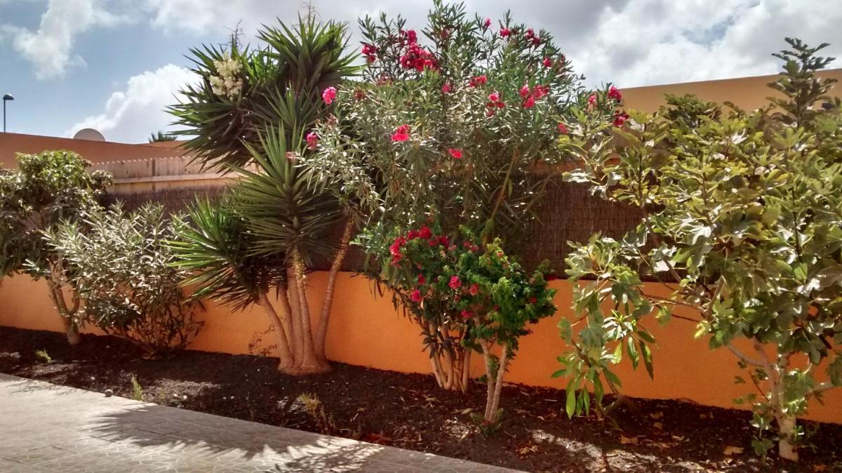 La Casita photo 2