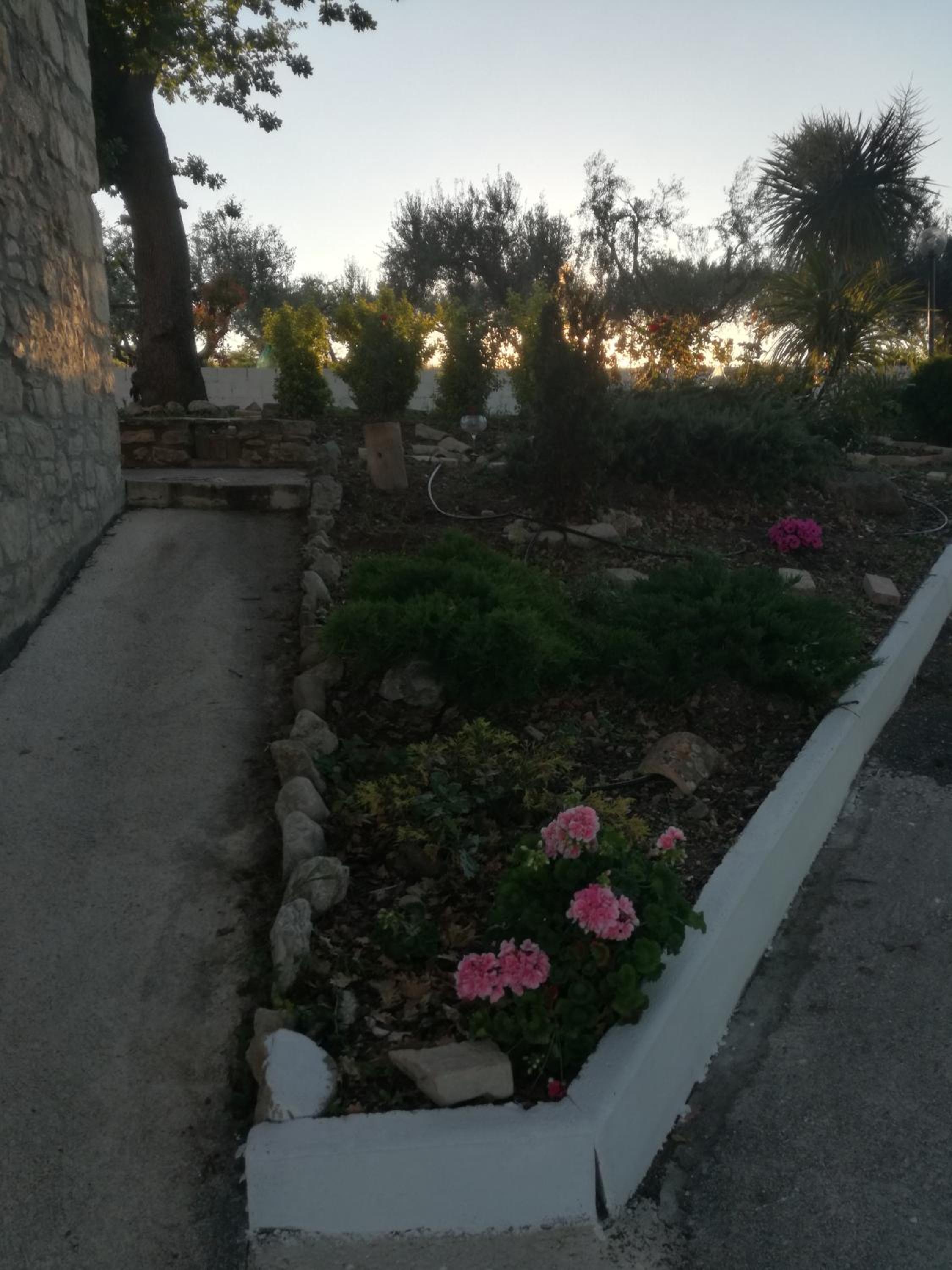 Photo 66