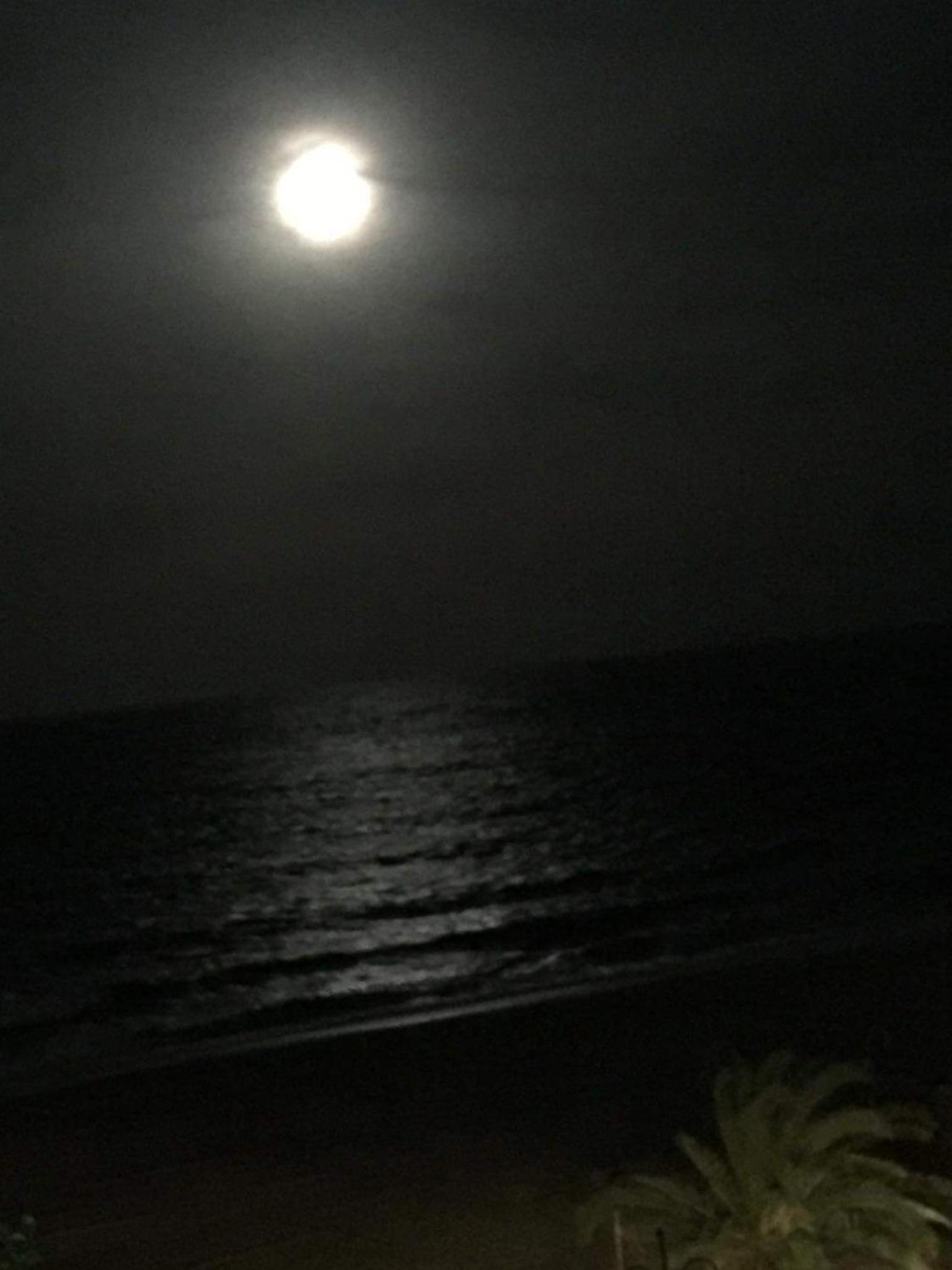 Galini Beach