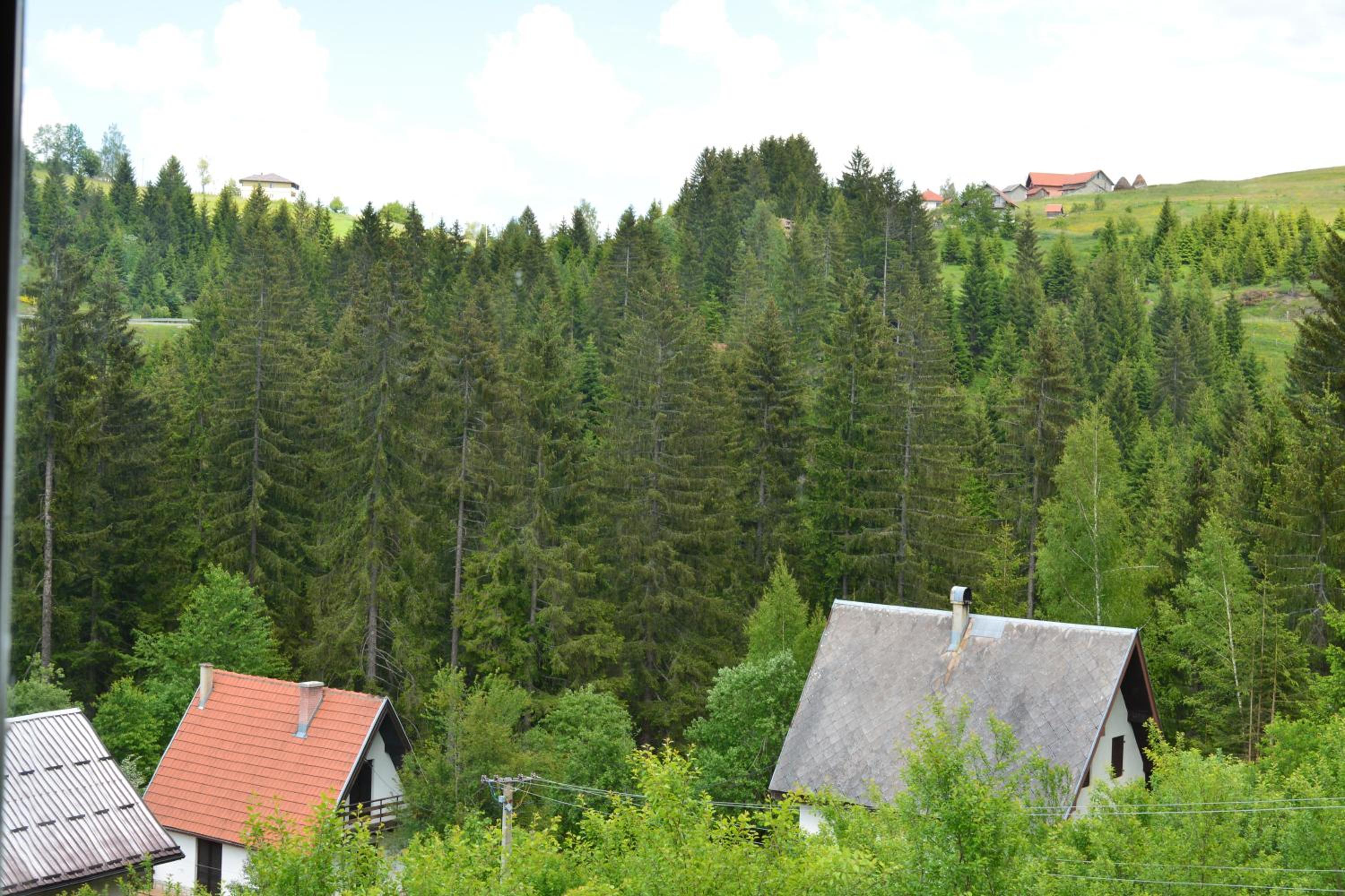 Photo 37