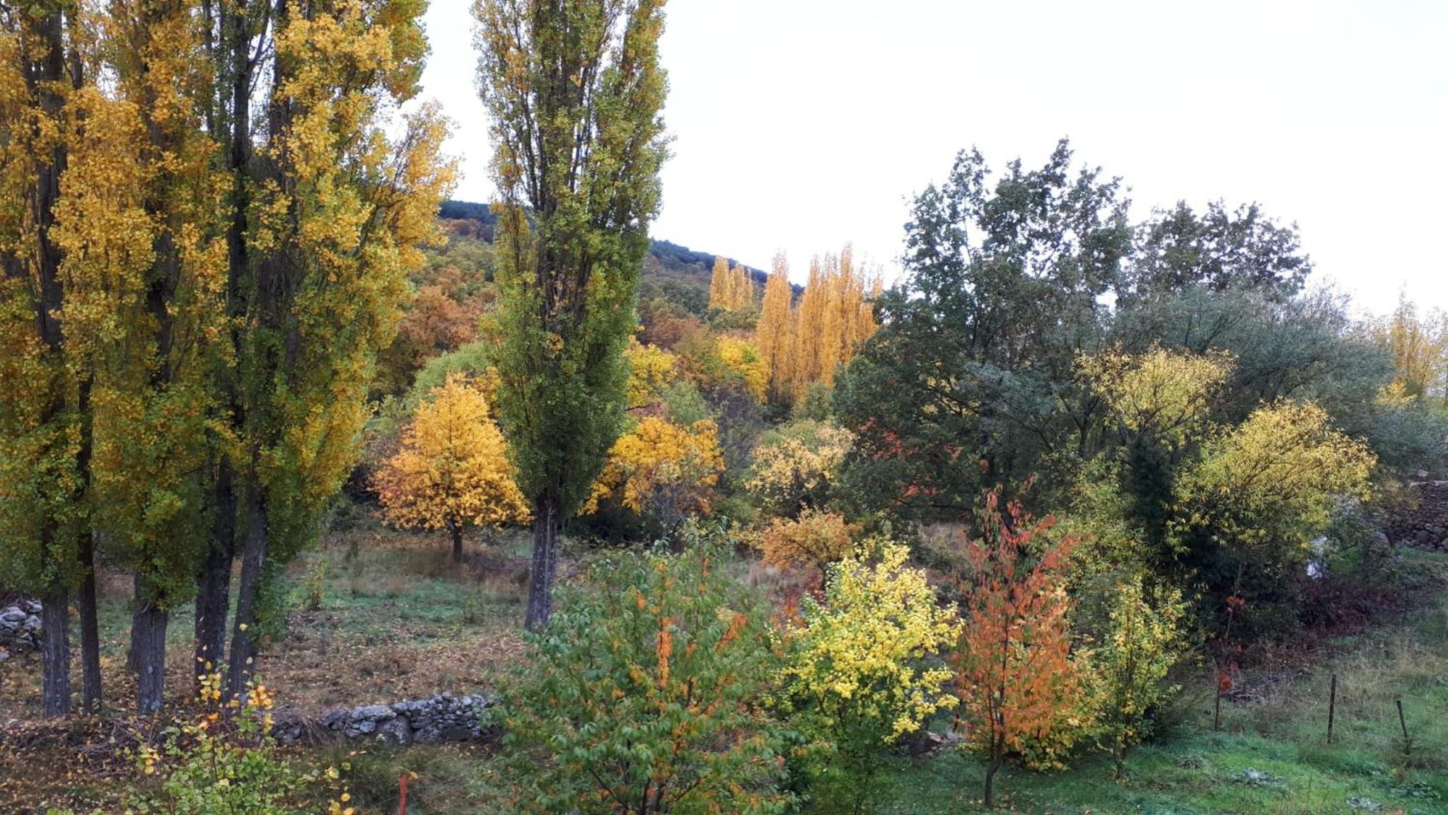 Photo 31