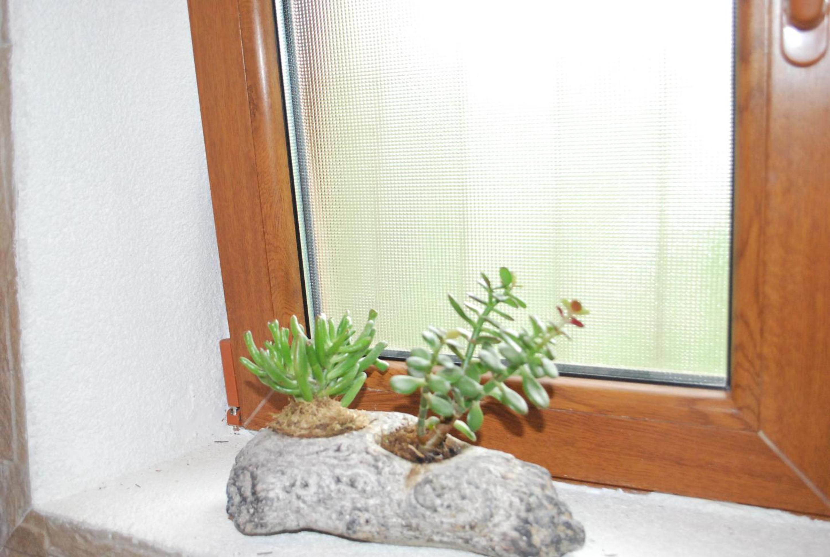 Photo 34