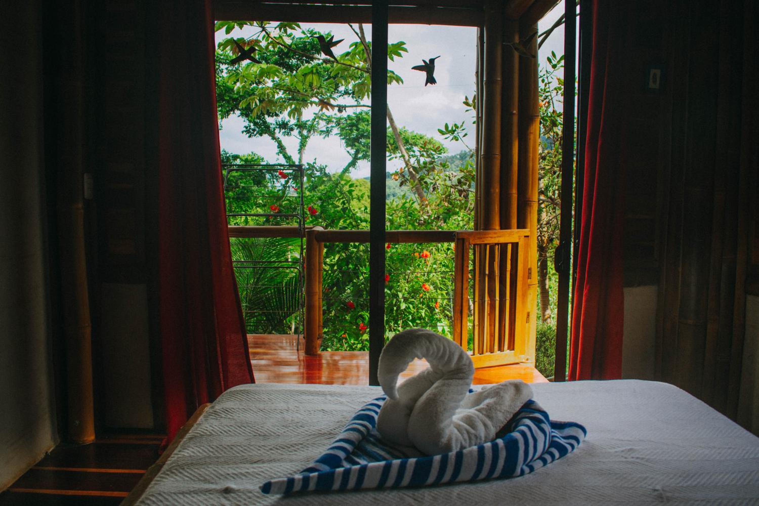 Bambura Hermosa villas