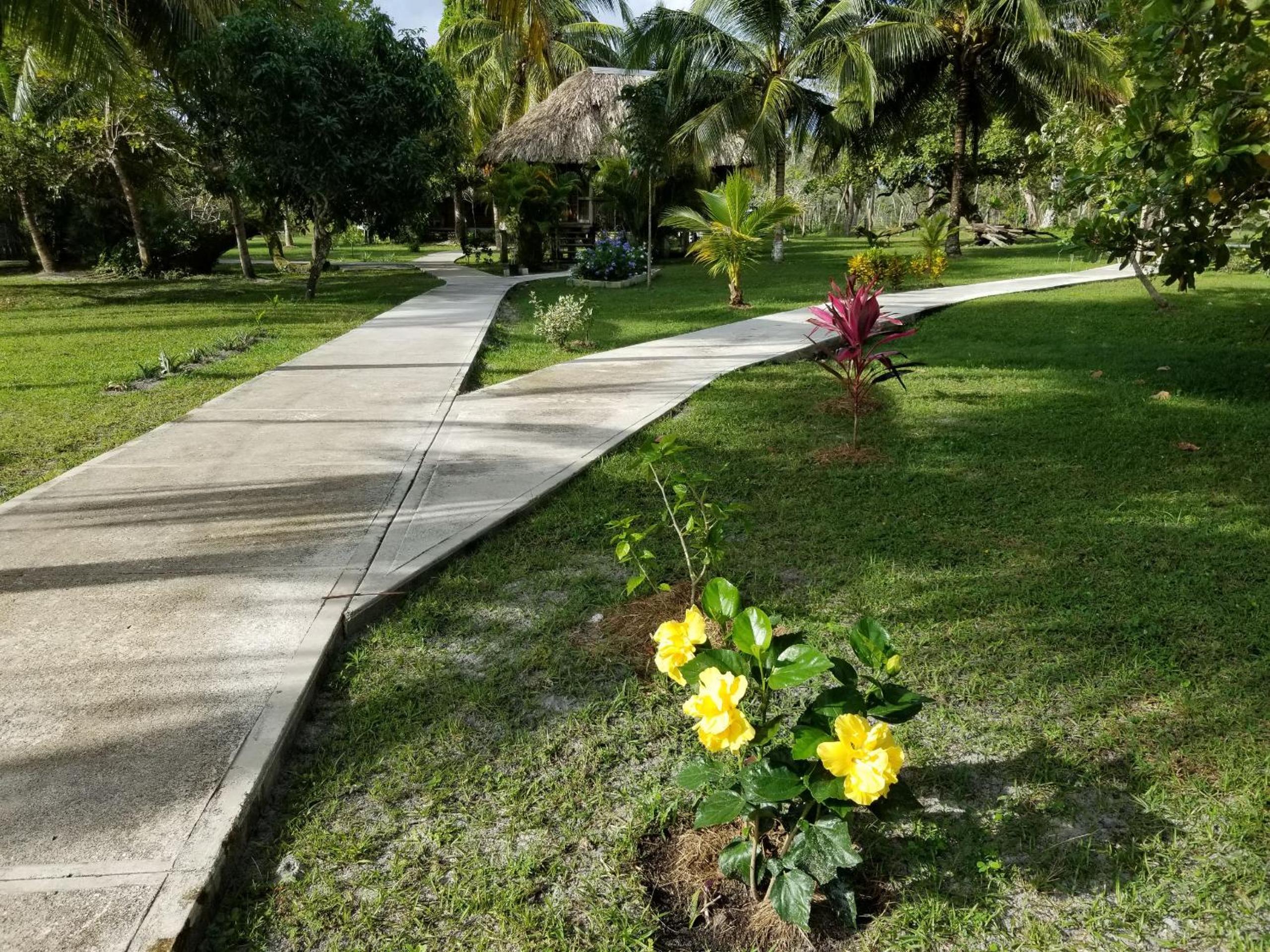 Nature Resort view 4