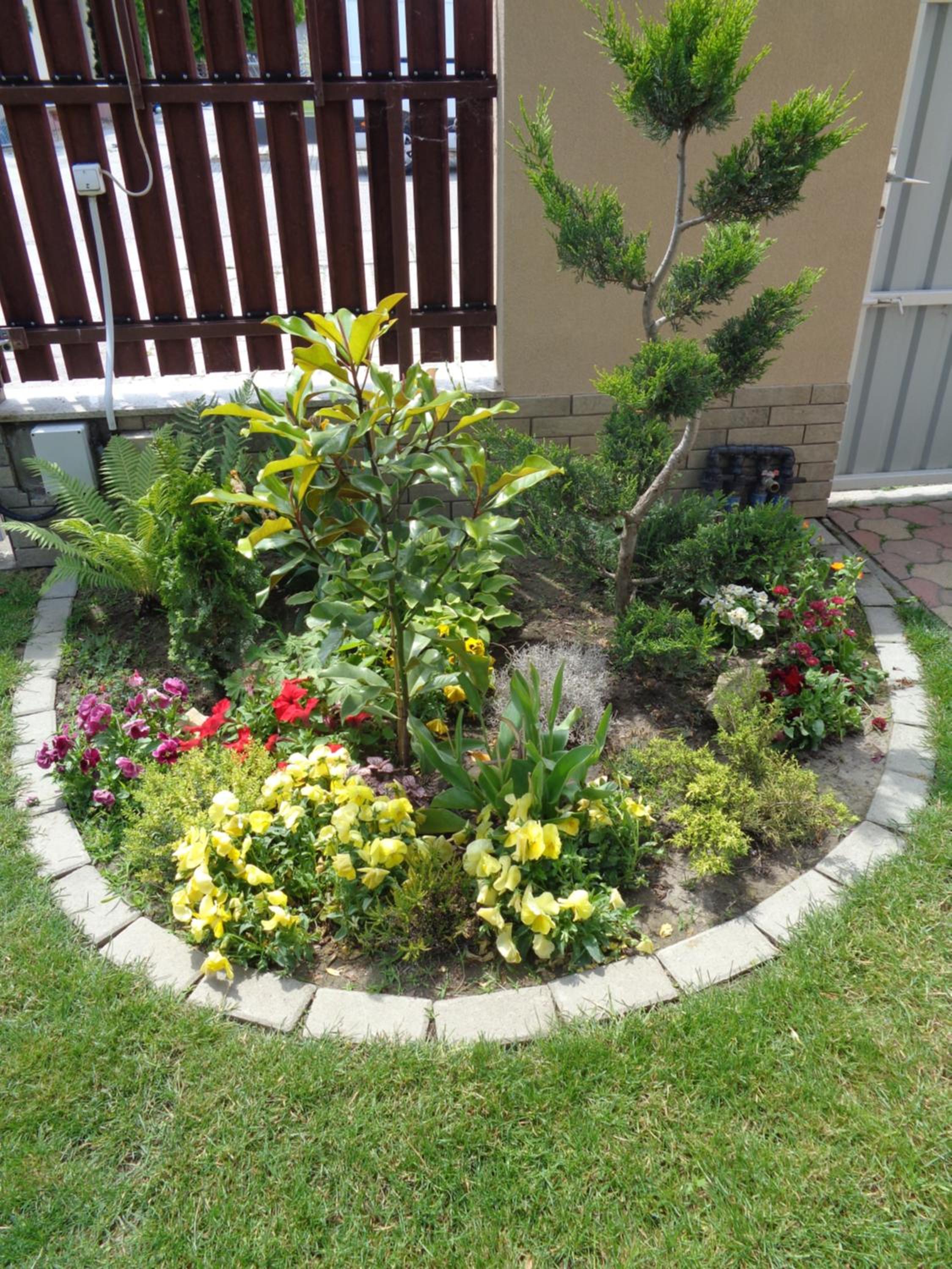 Photo 26