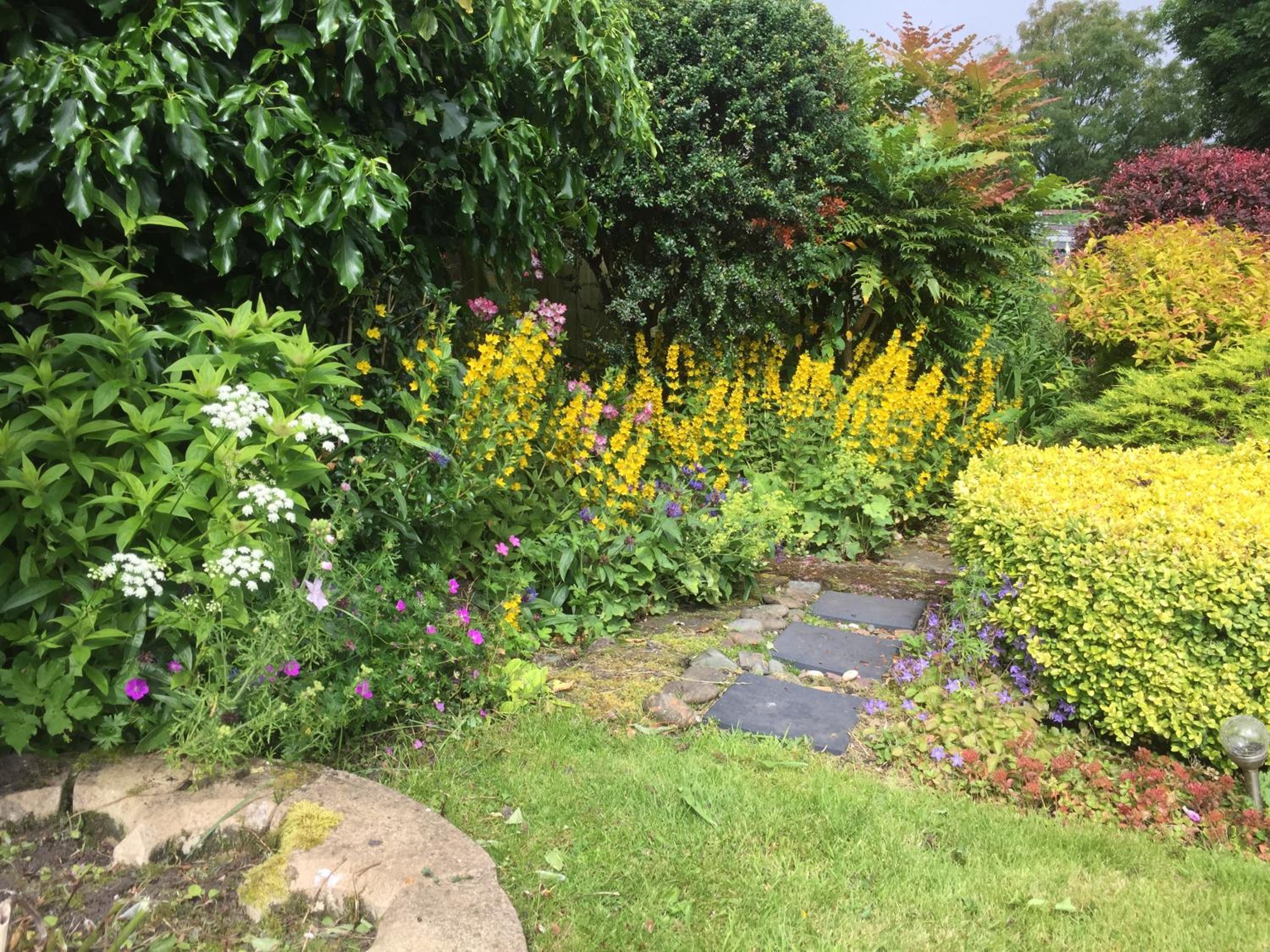 Photo 27