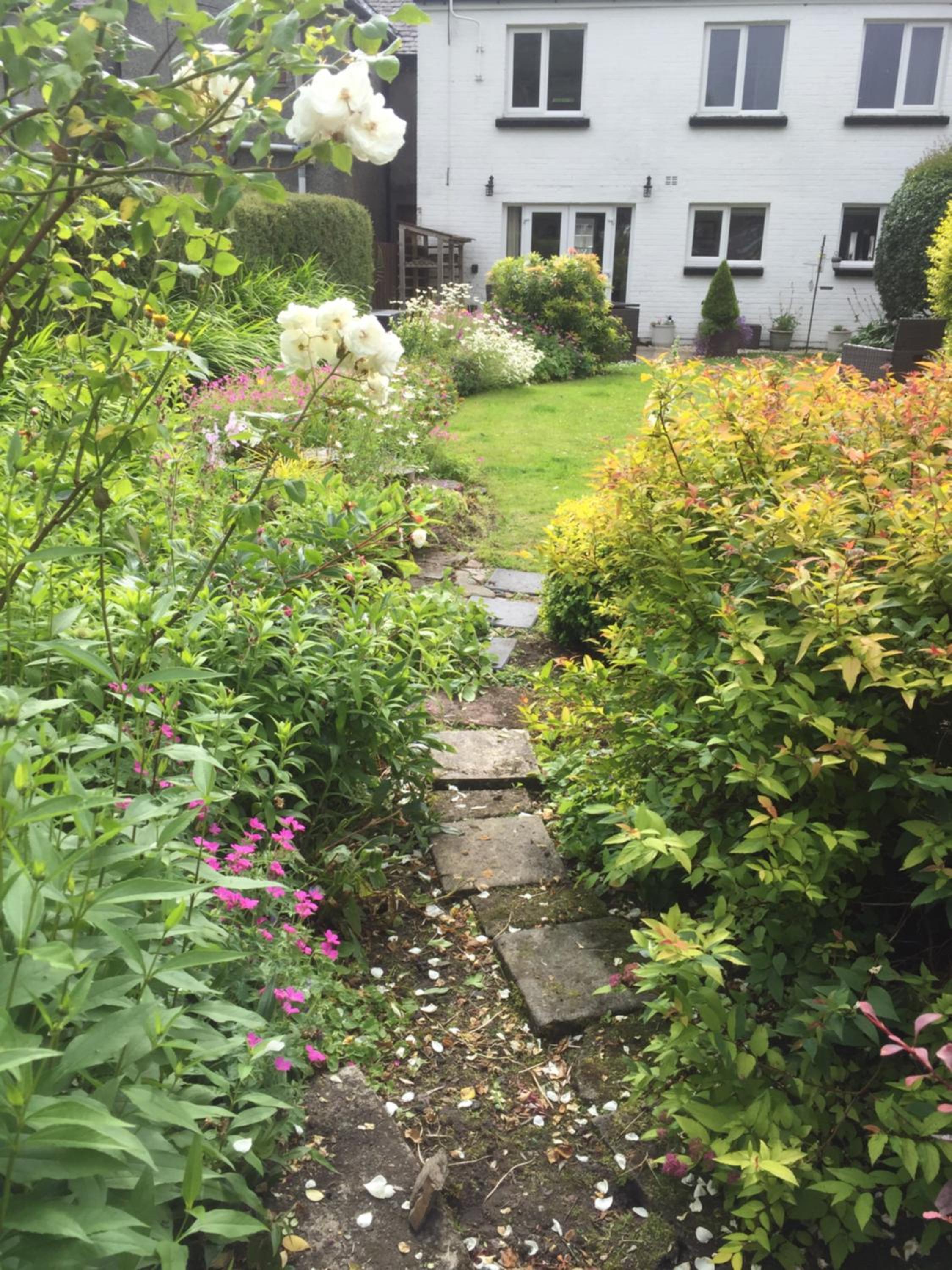 Photo 25