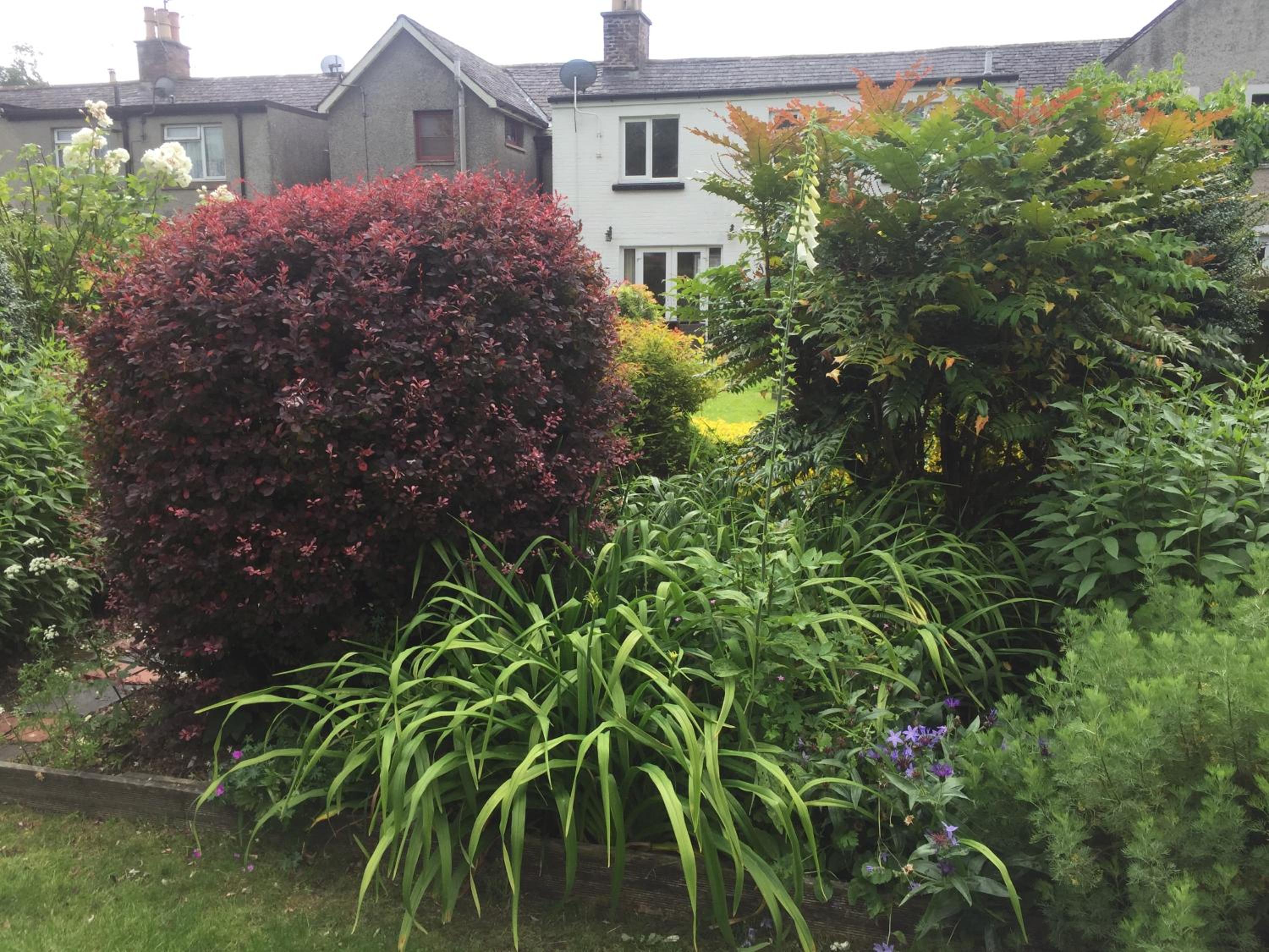 Photo 24