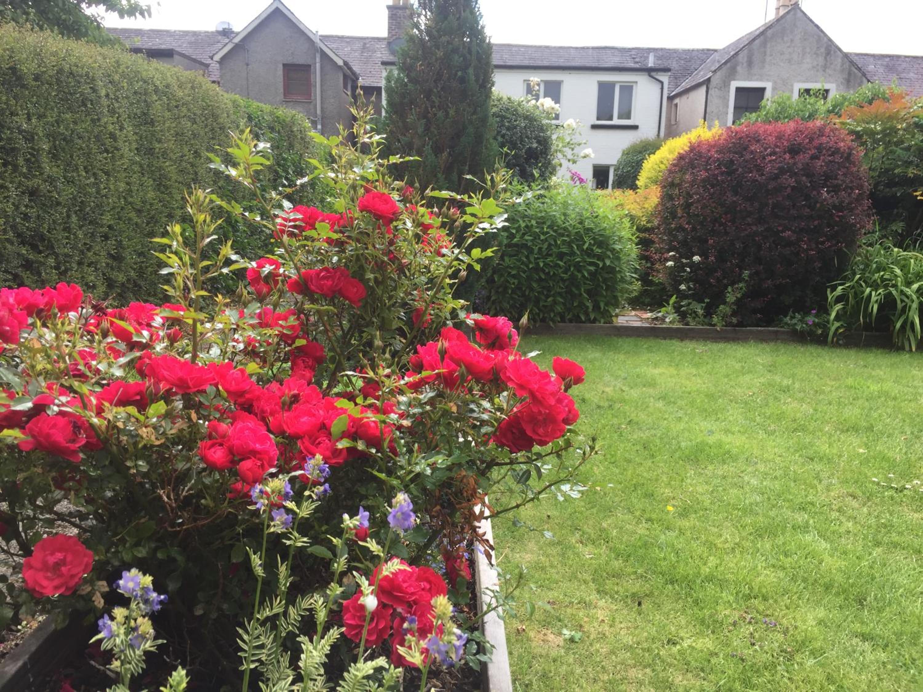 Photo 23