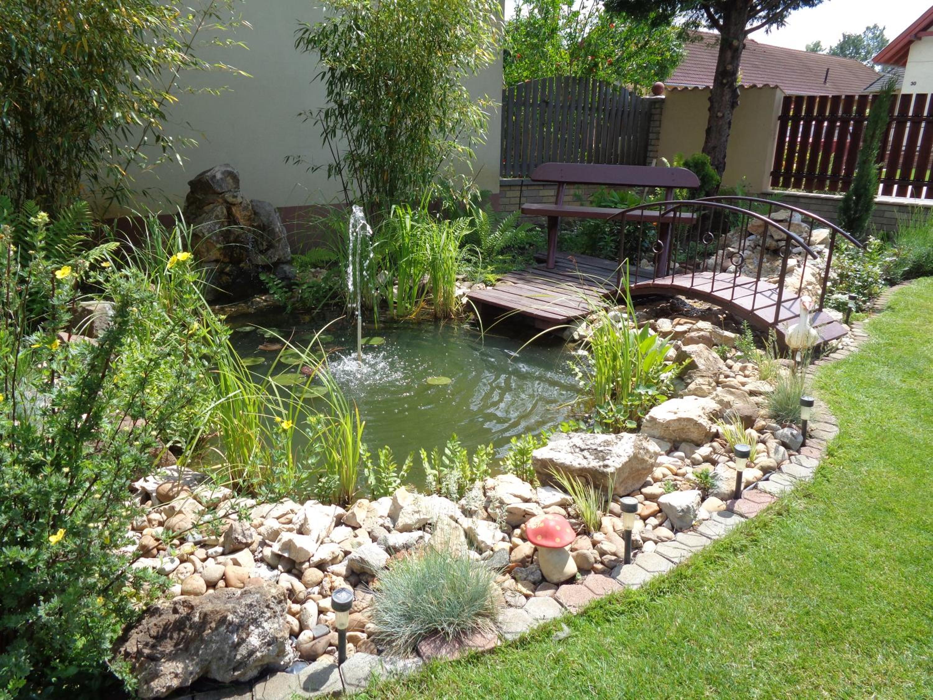 Photo 24