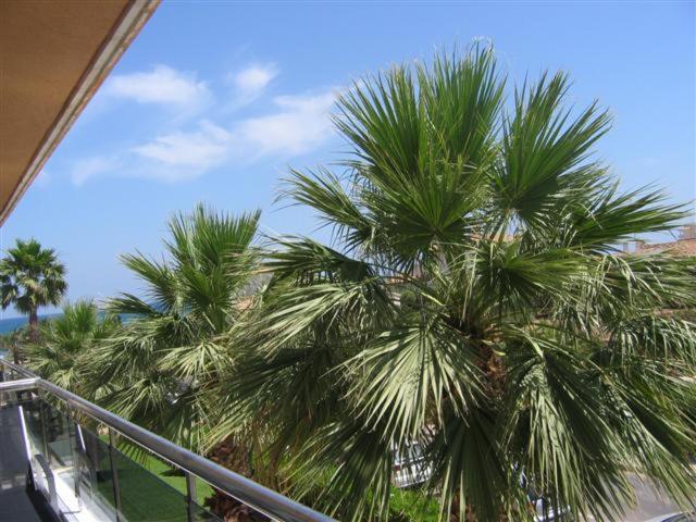 Photo 24