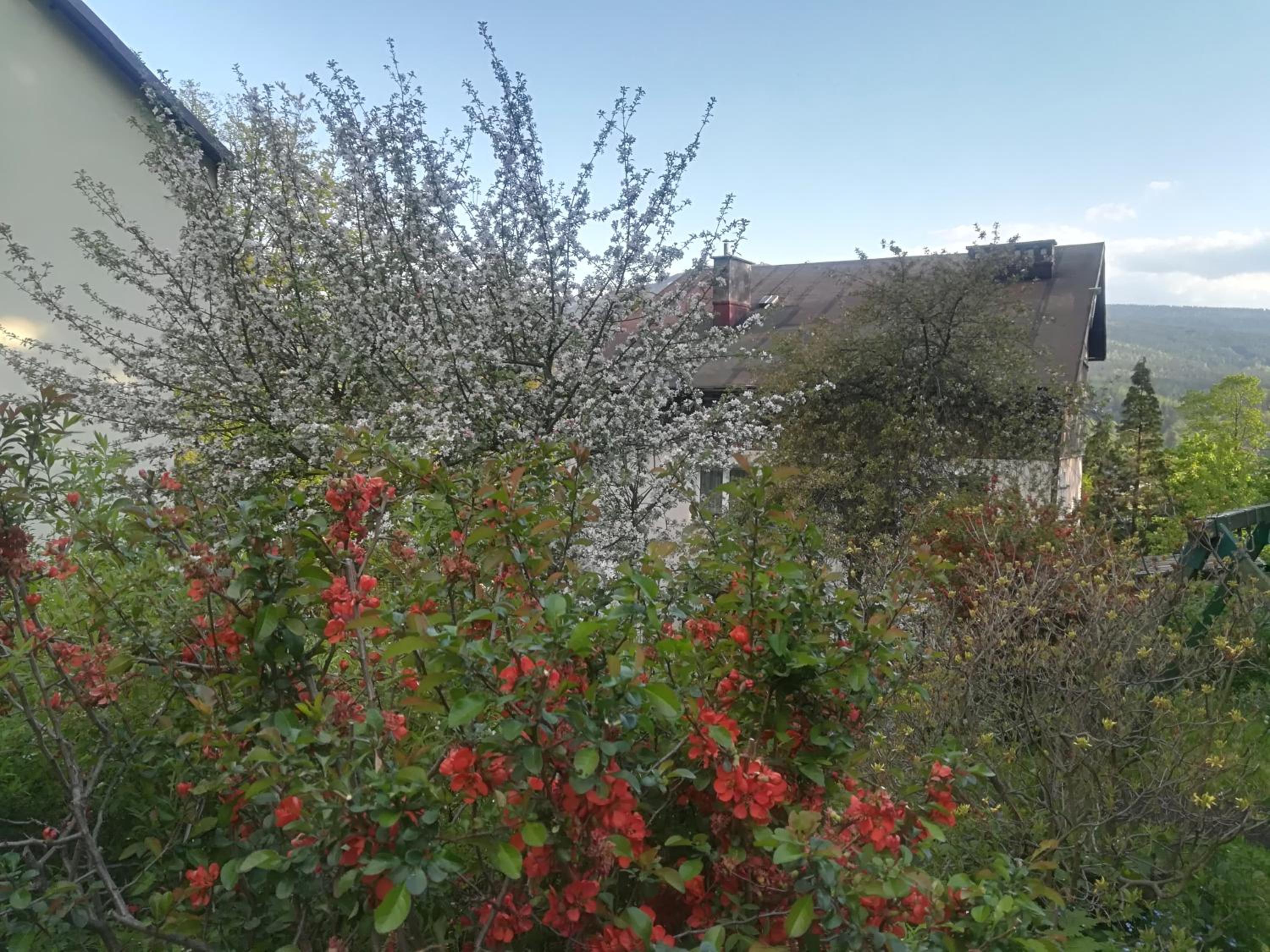 Dom Gościnny "Pod Siódemką" view 5