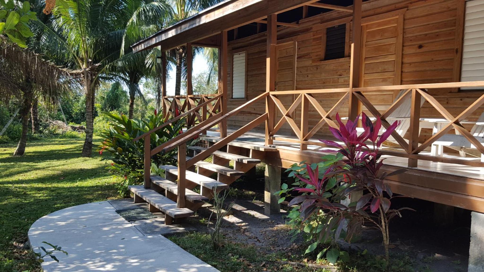 Nature Resort view 3