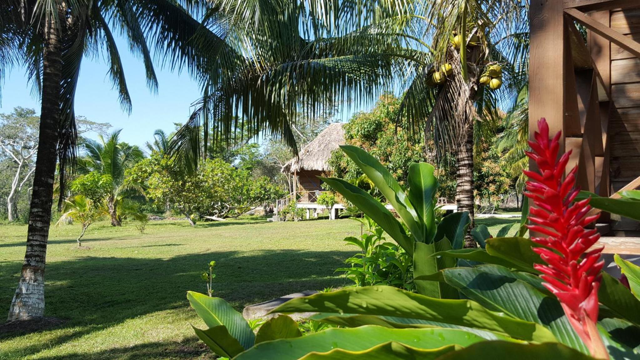 Nature Resort view 2