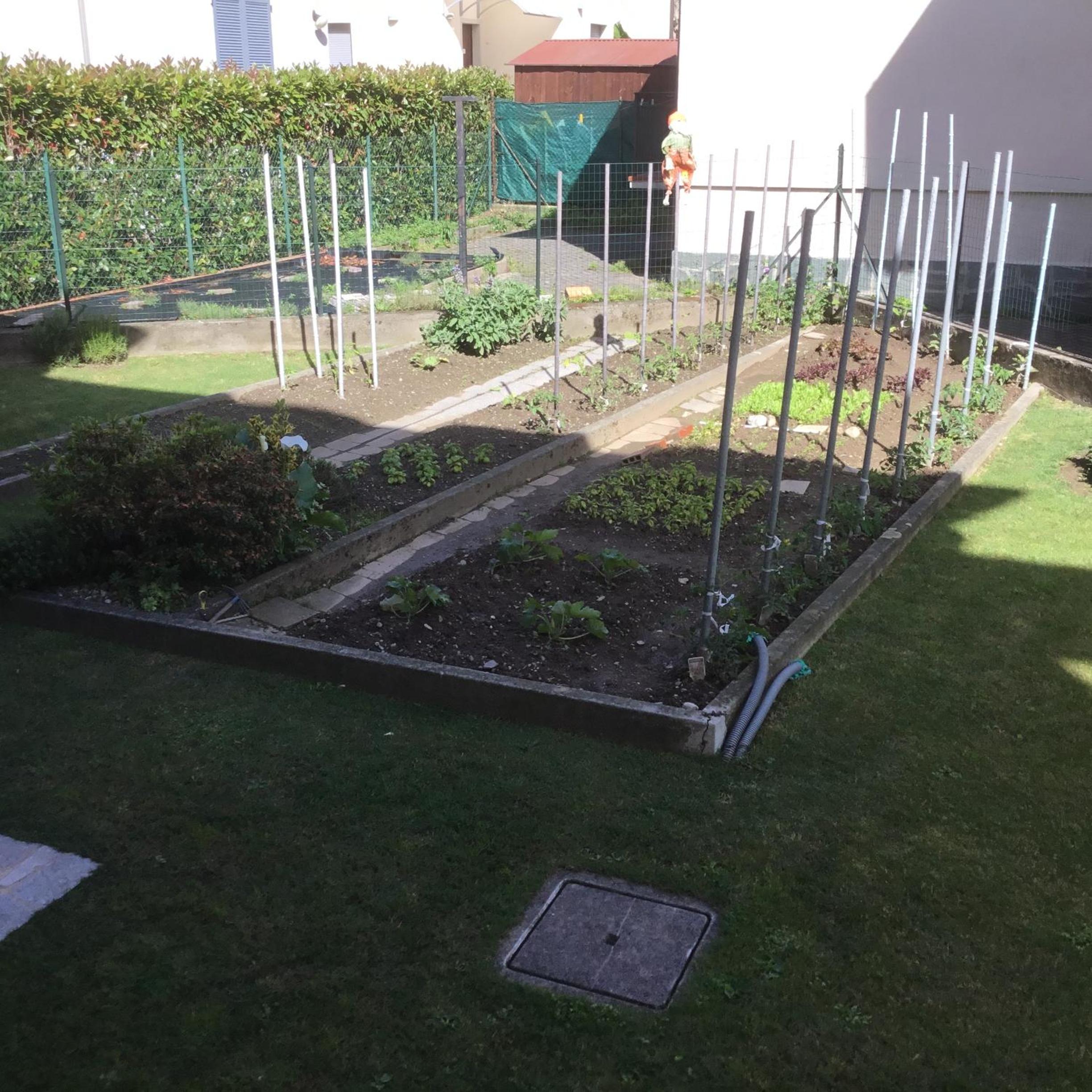 Photo 20