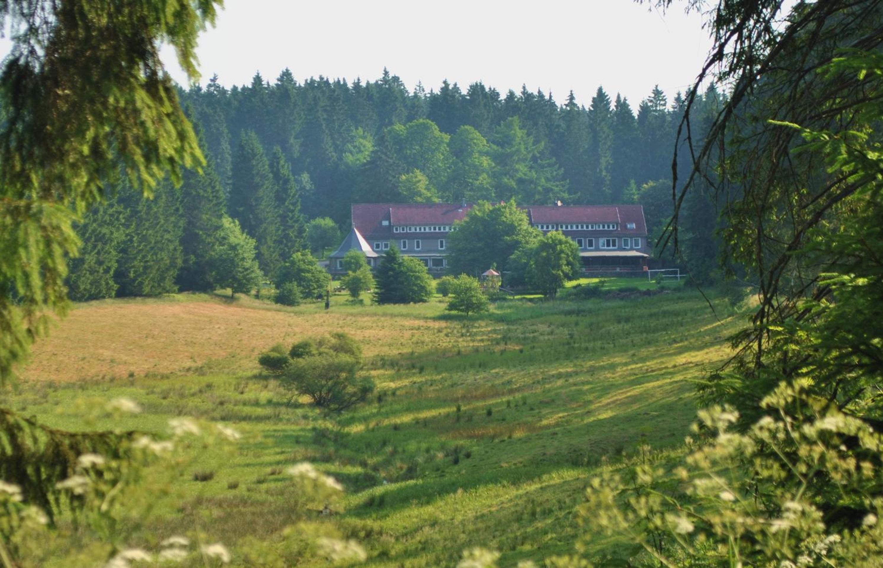 Photo 100