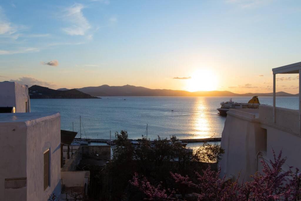 Petrino Naxos photo 2