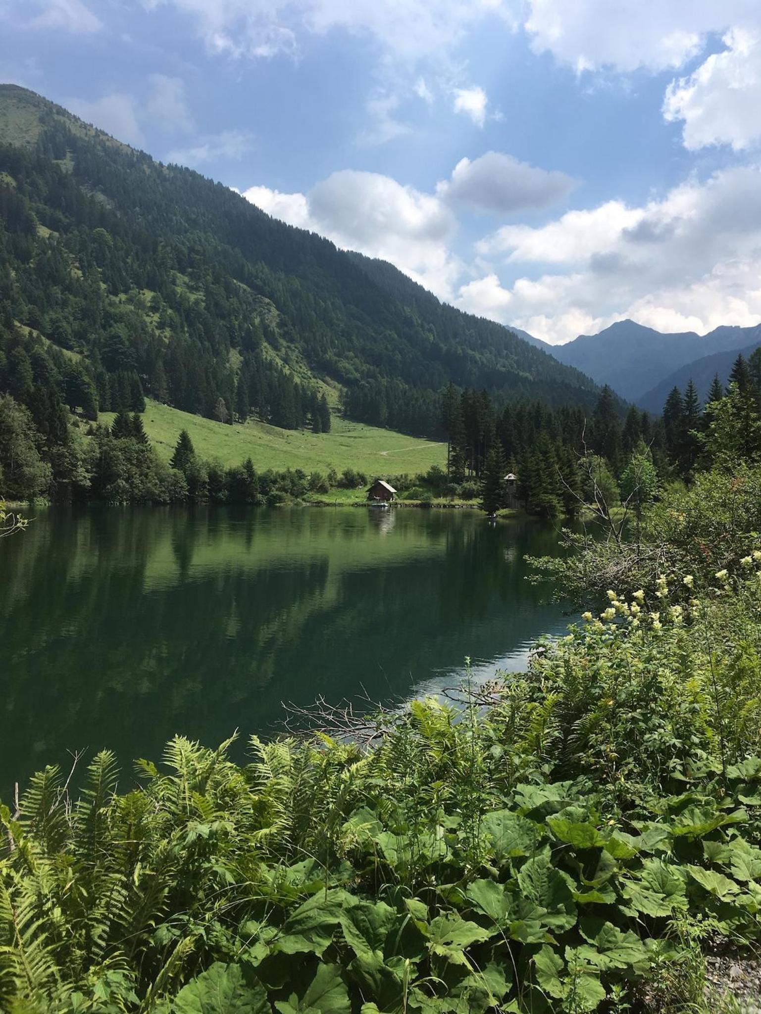 Chalet Rotheheim