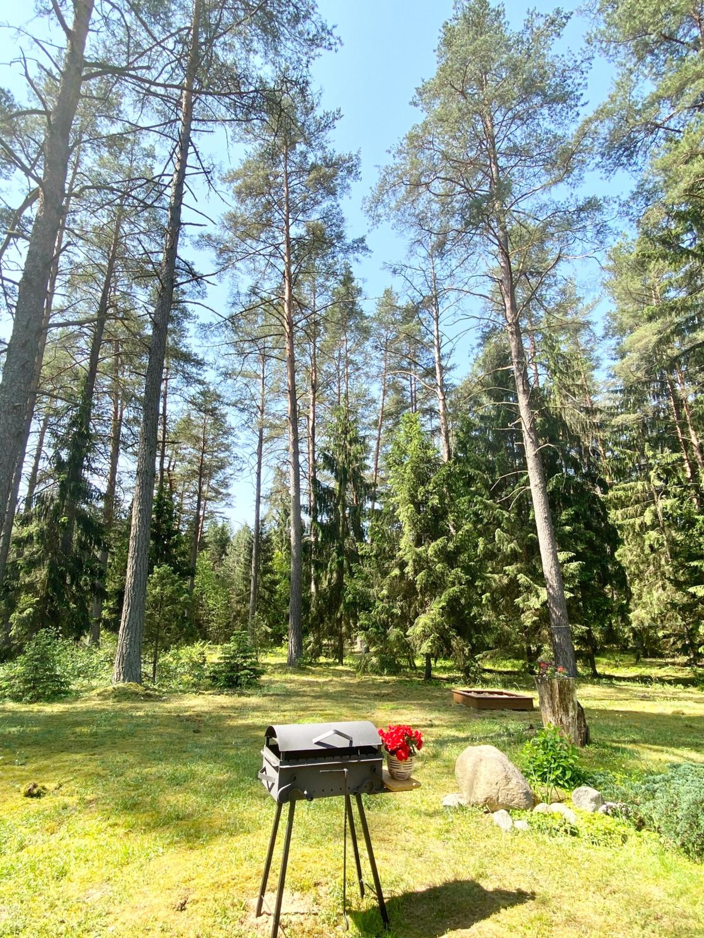 Photo 40